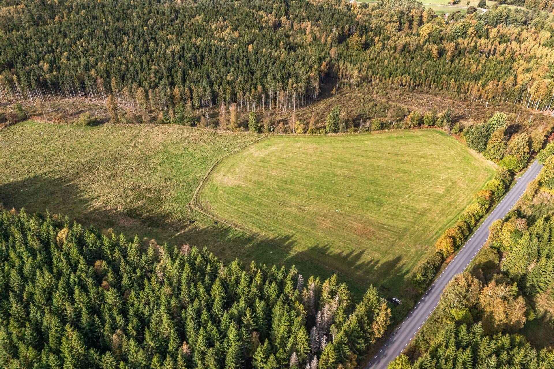 Gård/skog på Jägersborgsvägen Hässleholms kommun - bild 3