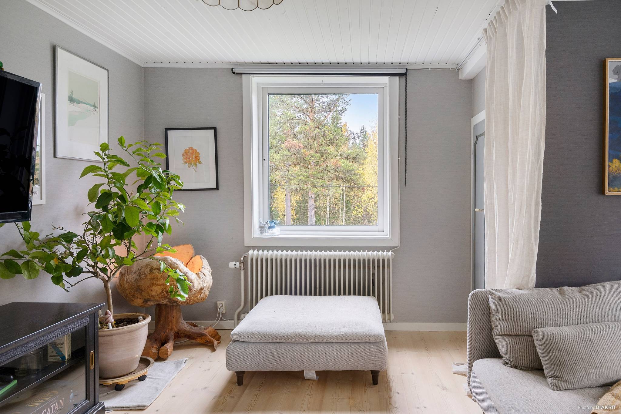 3 rum Gård/skog på Avasund 106 Storuman Storumans kommun - bild 20