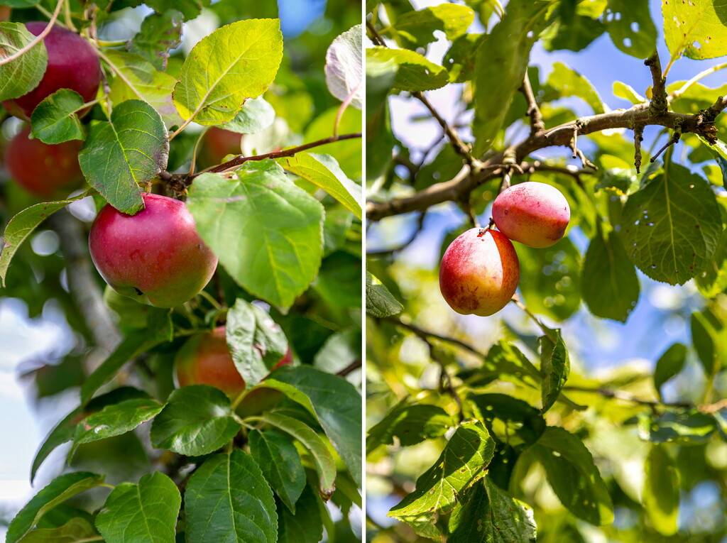 5 rum Villa på Fagersberg 1 Västerlösa Linköpings kommun - bild 40