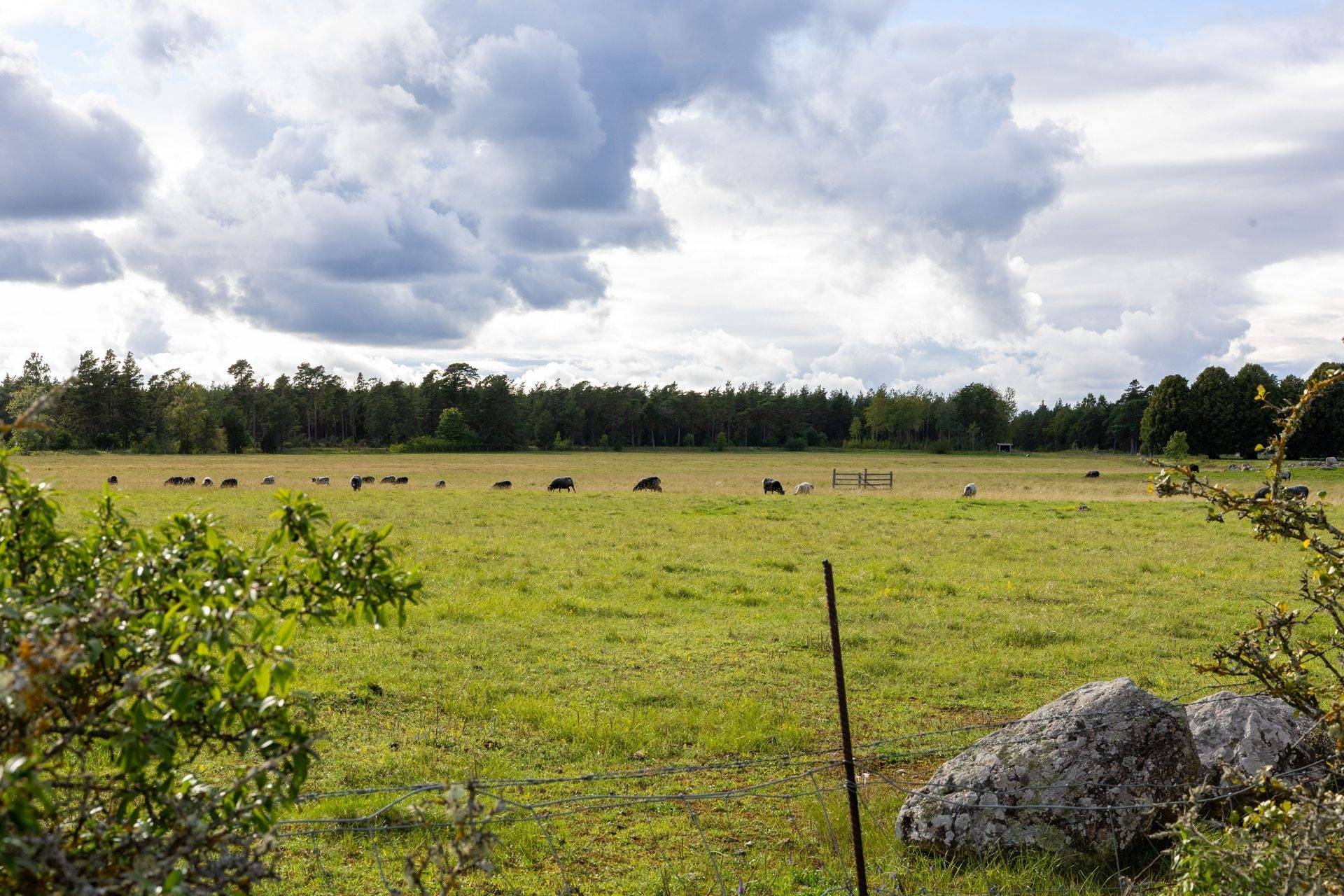 2 rum Vinterbonat fritidshus på Kräklingbo Tings 628 Katthammarsvik Gotlands kommun - bild 40