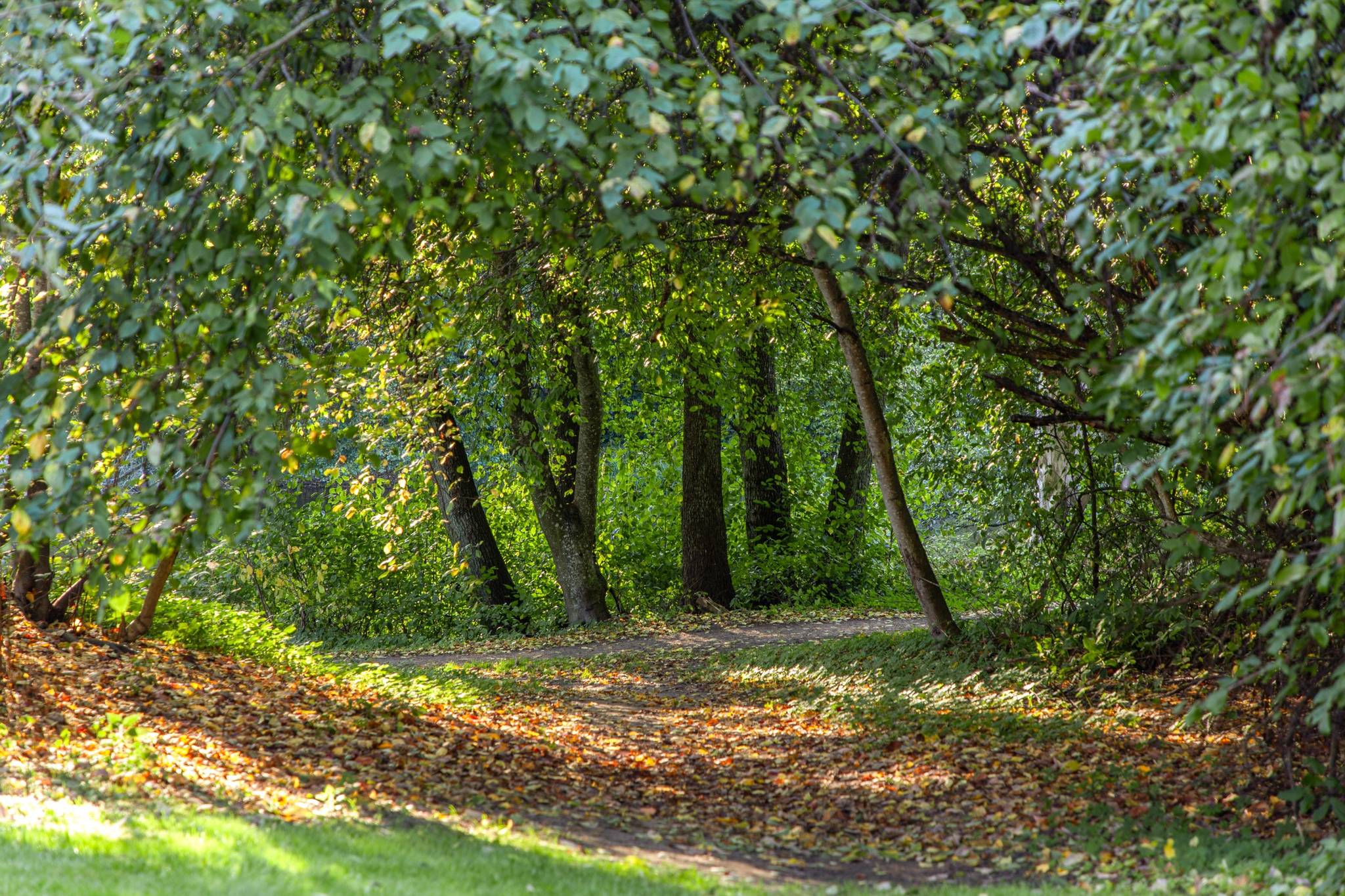 5 rum Villa på Stigarvägen 7 Perioden Nyköpings kommun - bild 47