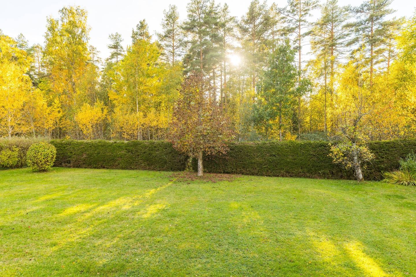 4 rum Villa på Husargatan 48 Hova Tätort Gullspångs kommun - bild 3