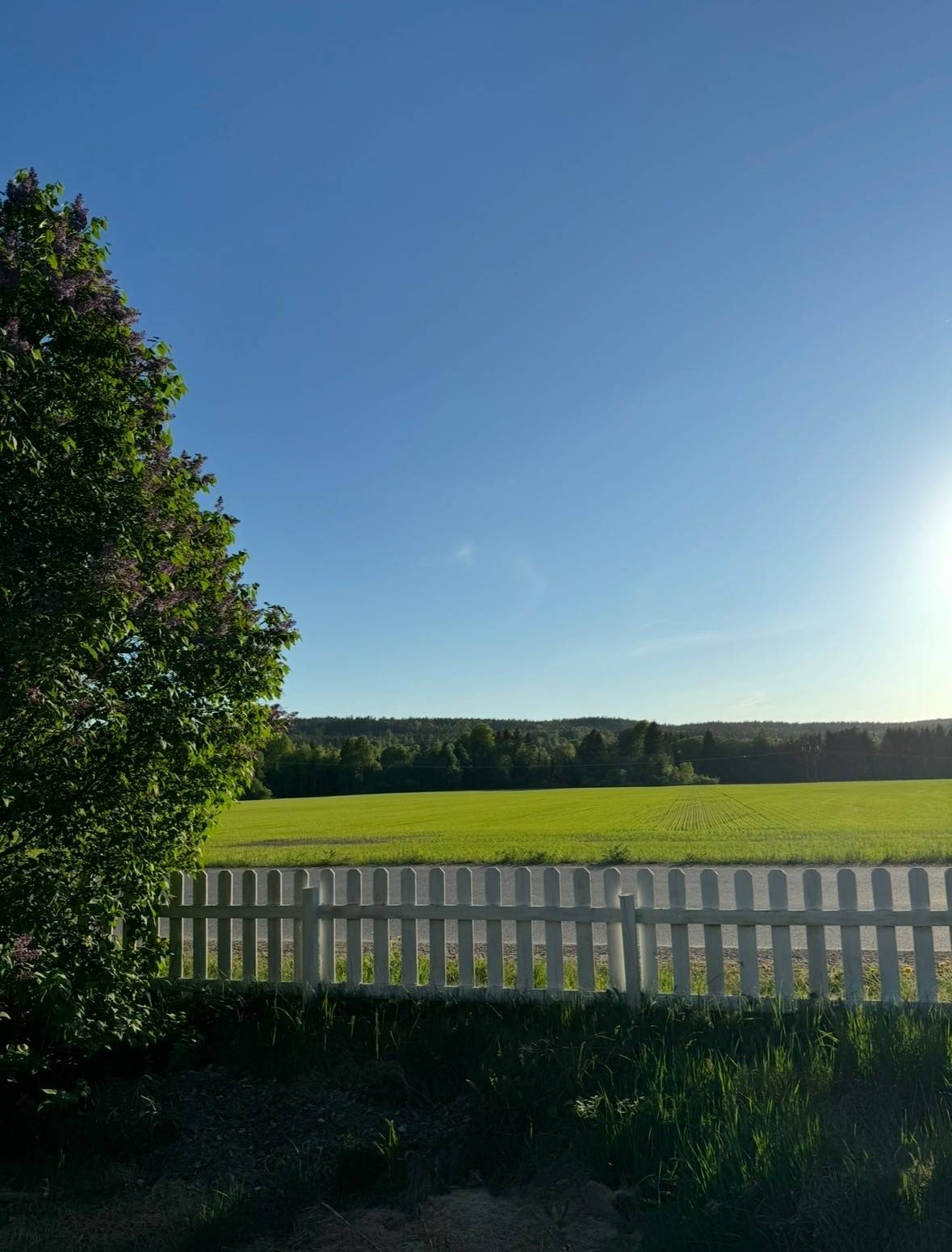 1 rum Villa på Morast Norstuga 1 Charlottenberg Eda kommun - bild 41