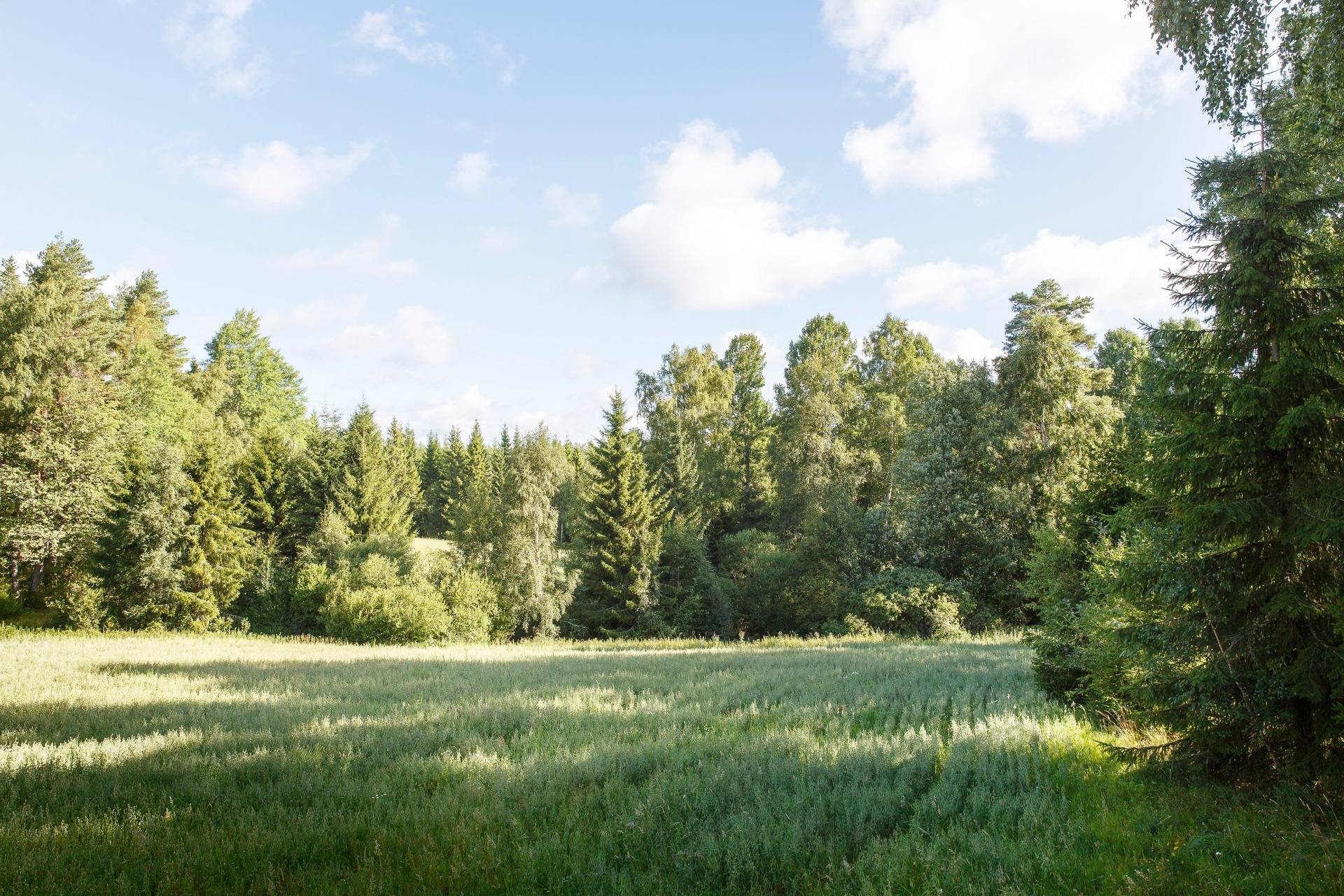 Gård med jordbruk på Apelskift Habo kommun - bild 30