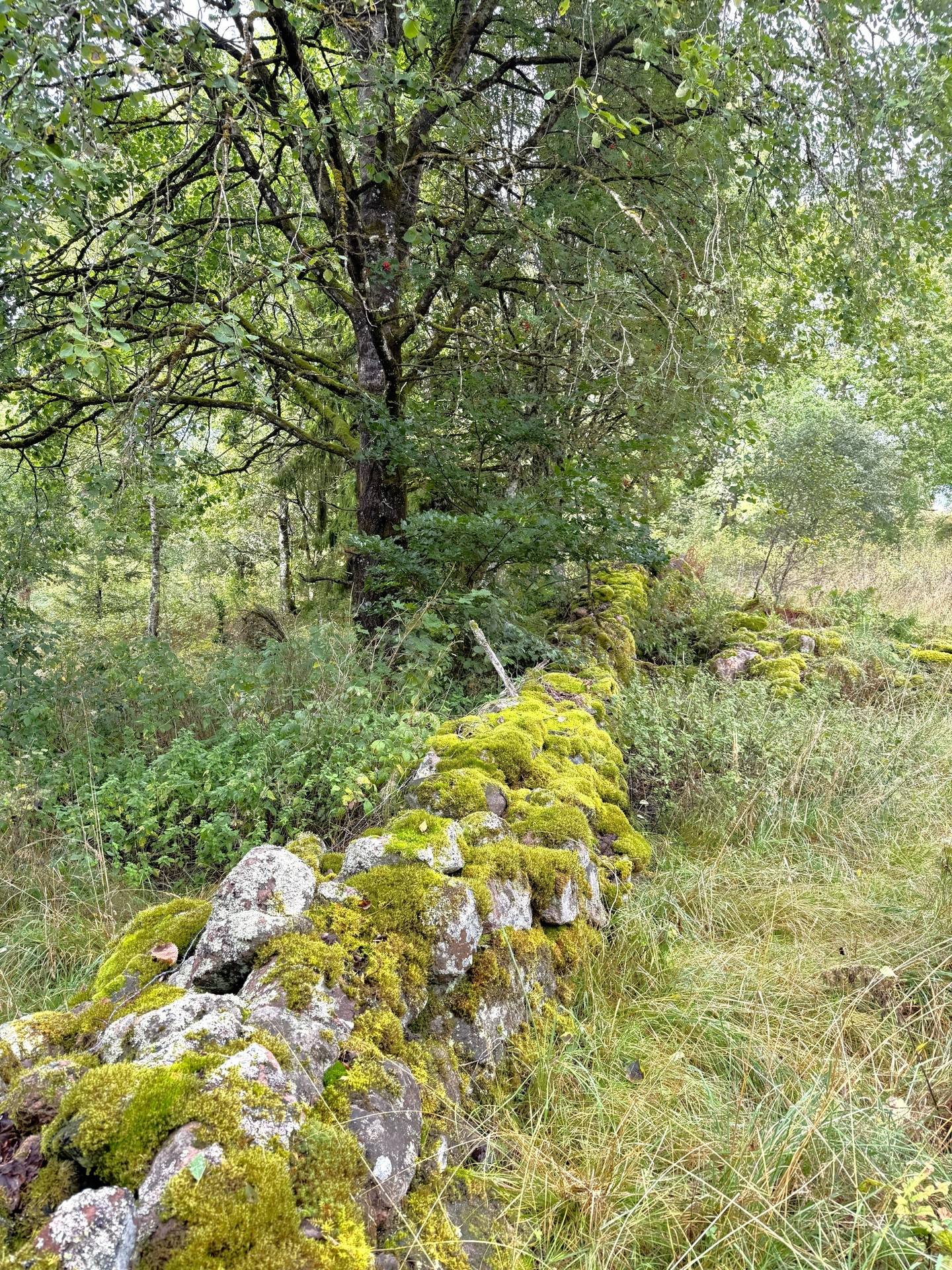 Gård med jordbruk på Backabo 102 Södra Vånga Ulricehamns kommun - bild 62