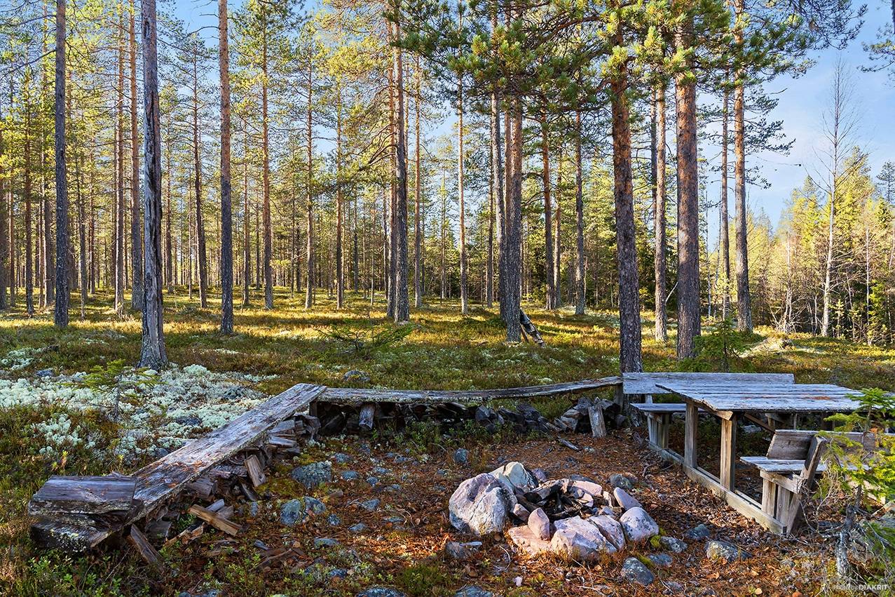 Gård med skogsbruk Älvdalens kommun - bild 6