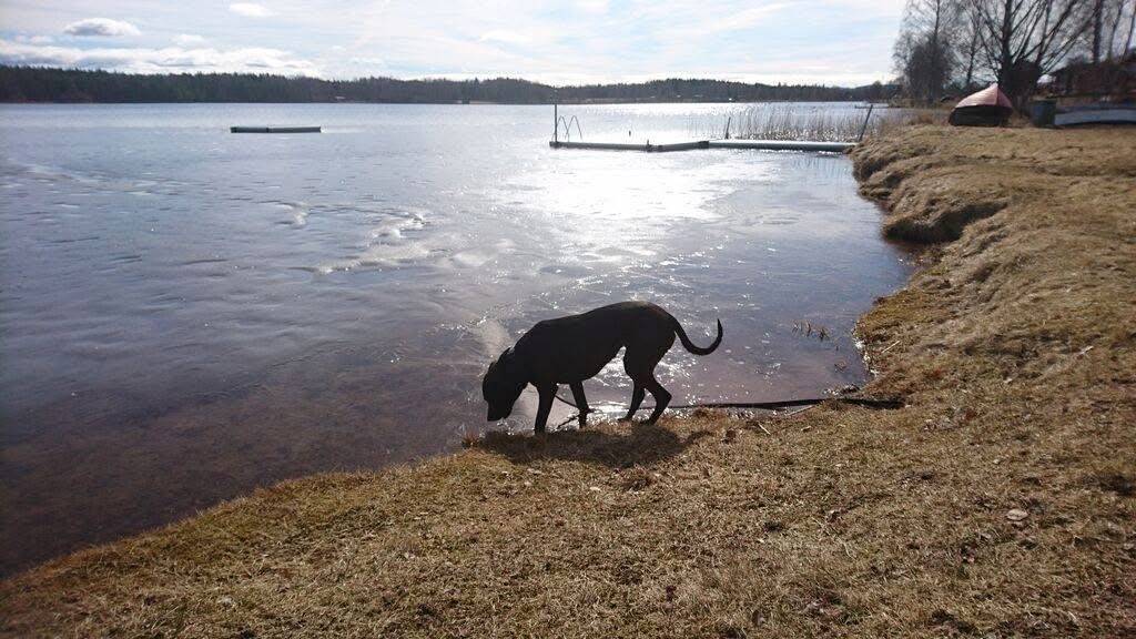 7 rum Villa på Mojevägen 10 Gagnef Gagnefs kommun - bild 60
