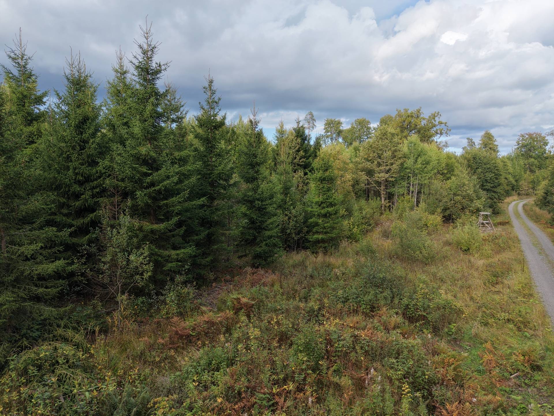 Gård med skogsbruk på NORRTÄLJE SÖDERMARJUM 2:2 Norrtälje kommun - bild 17