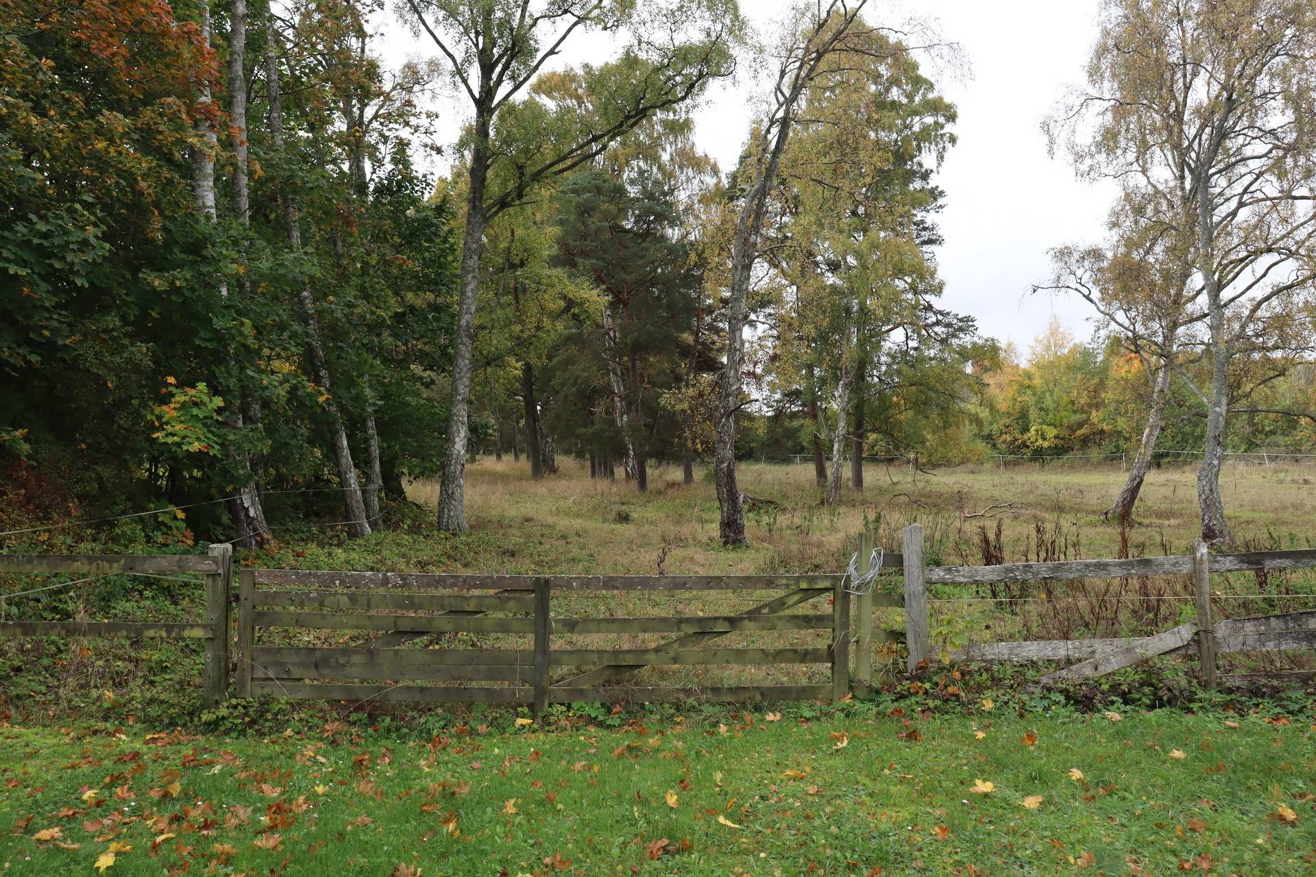 4 rum Gård utan jordbruk på Fardhem Rodarve 513 Fardhem - Södra Gotland Gotlands kommun - bild 52