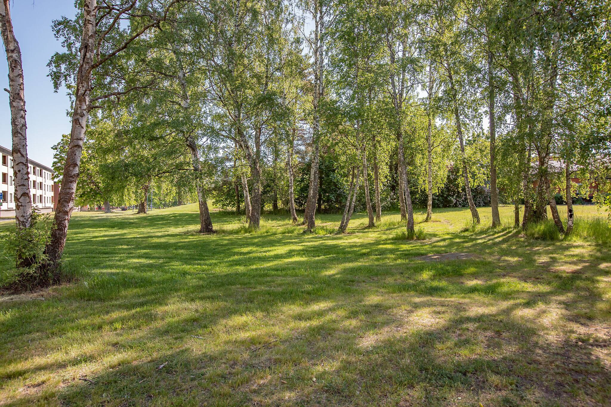 1.5 rum Lägenhet på Spjutgatan 34 Ektorp Norrköpings kommun - bild 13