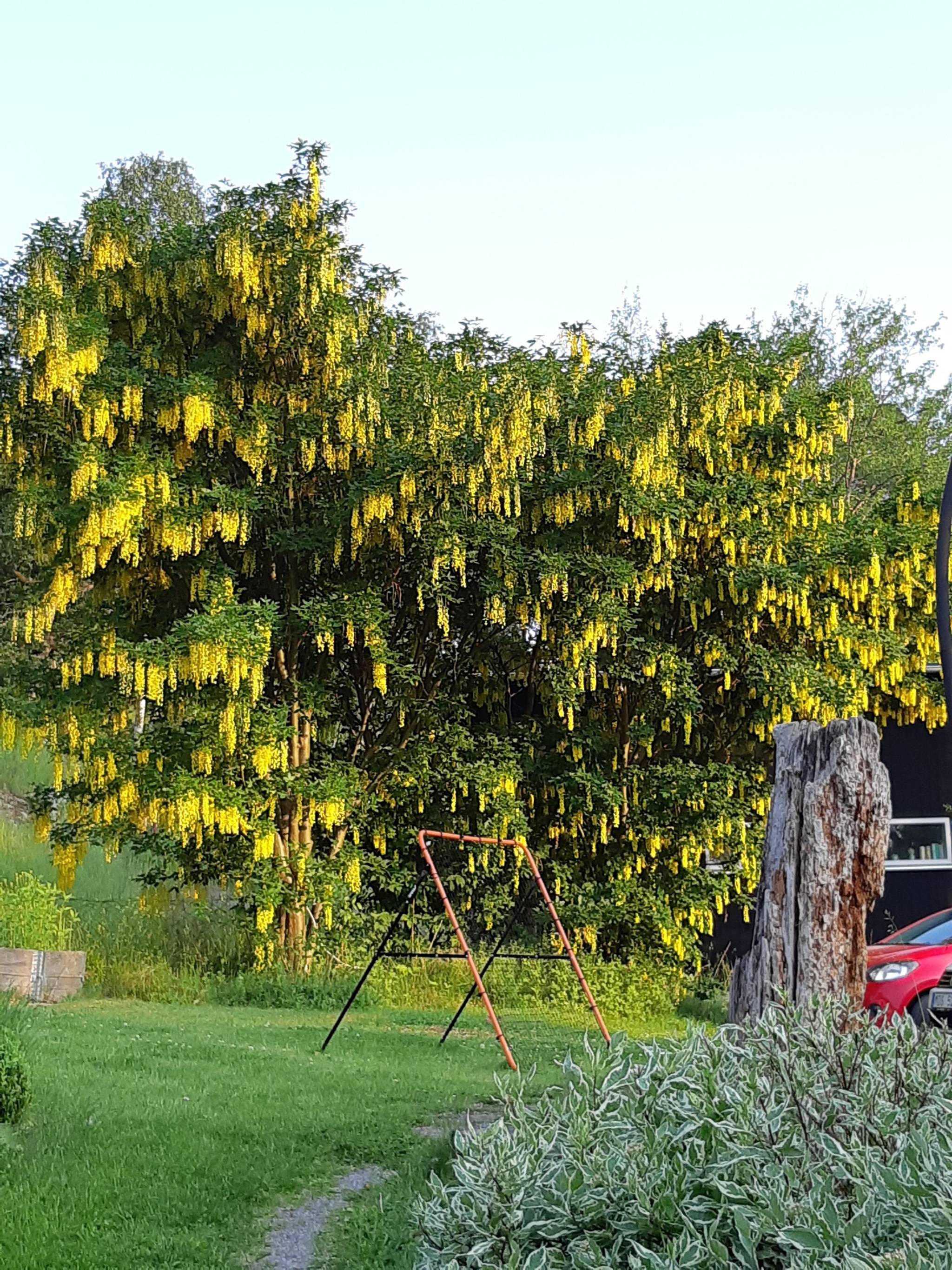 6 rum Villa på Gösta Ekmans väg 23 Eriksvik Nacka kommun - bild 37