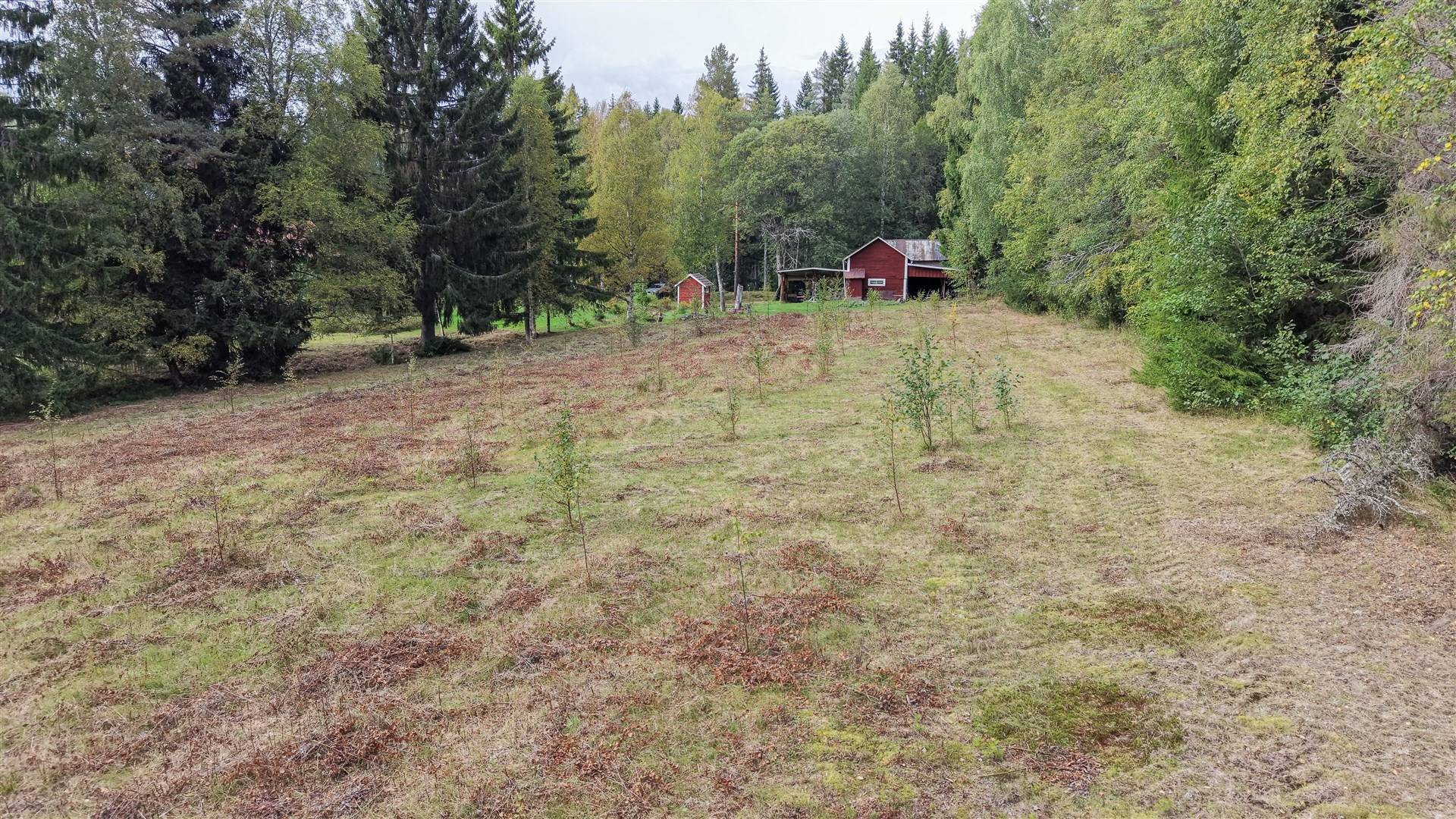 4 rum Villa på Faluvägen 274 Gräsberg Ludvika kommun - bild 41