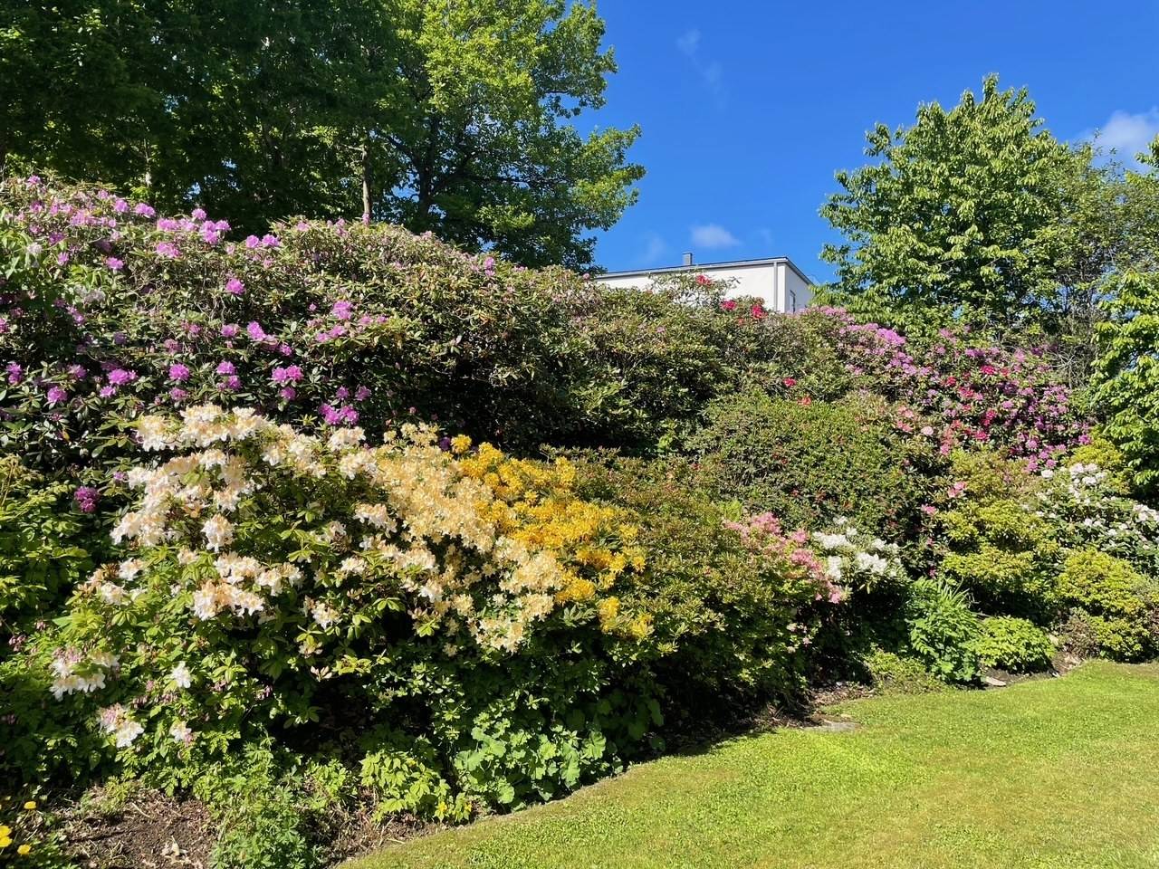 196 m² Villa på Hovås bautastensväg 14 Hovås Göteborgs kommun - bild 38