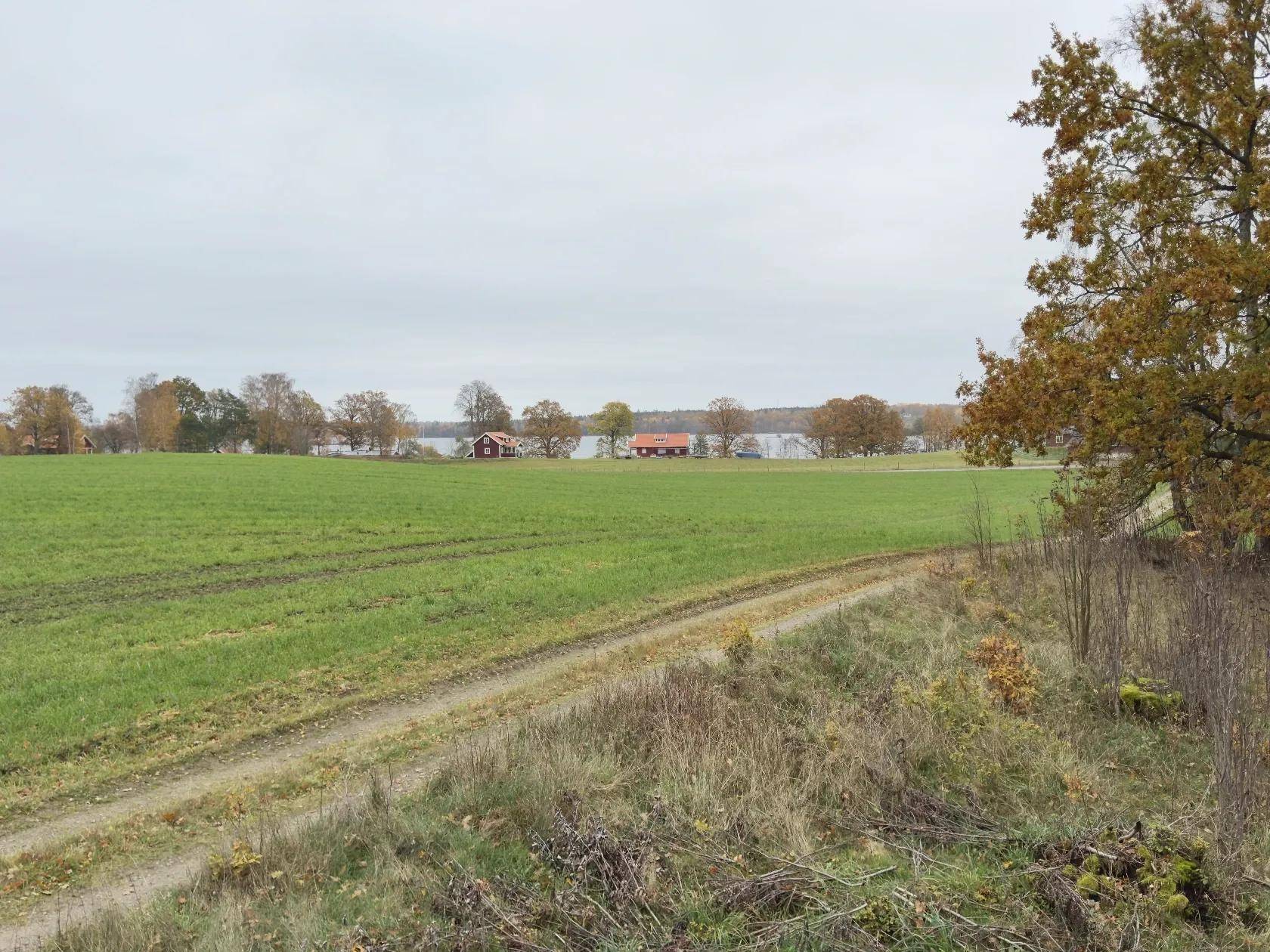 Bolmsö, Ljungby kommun