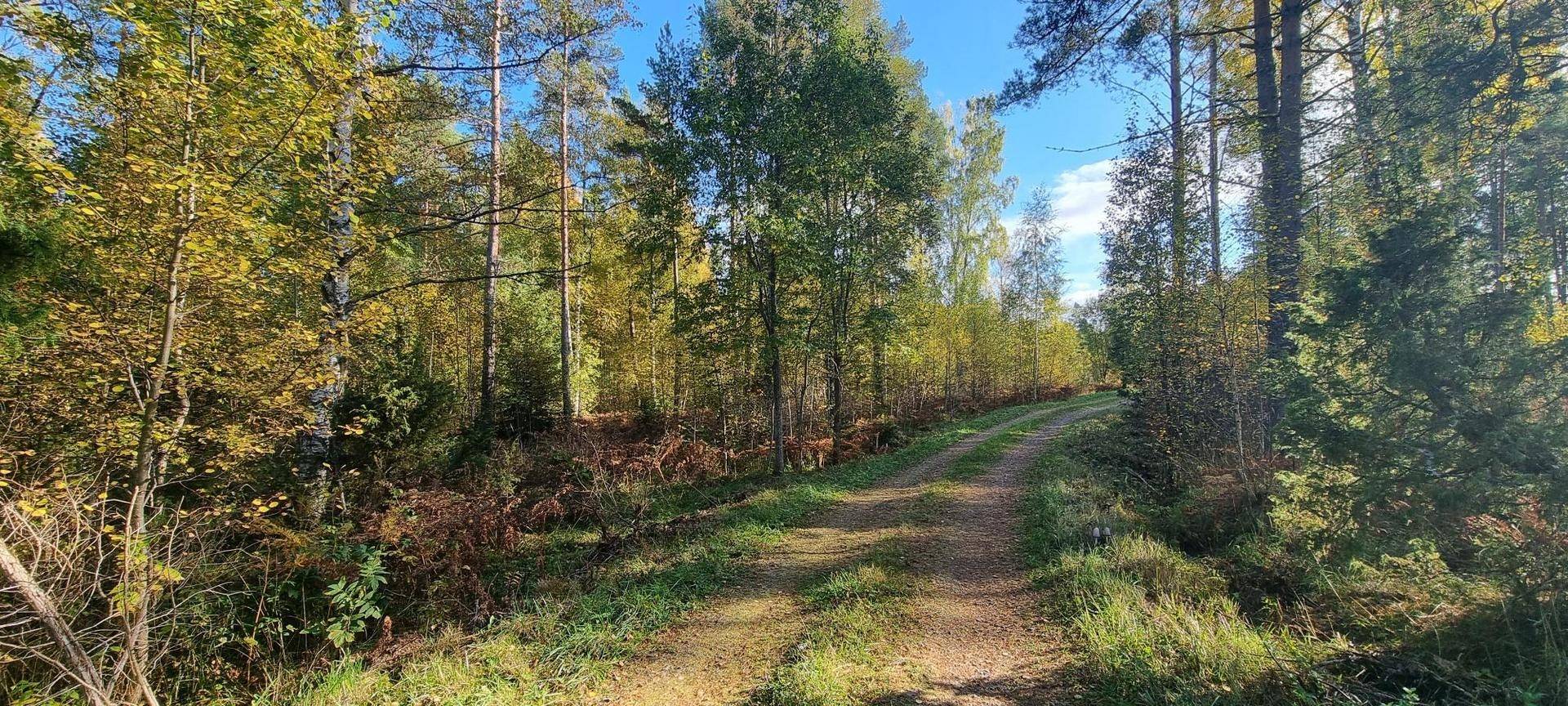 Gård/skog på Vamsta, intill naturreservatet Östhammars kommun - bild 28