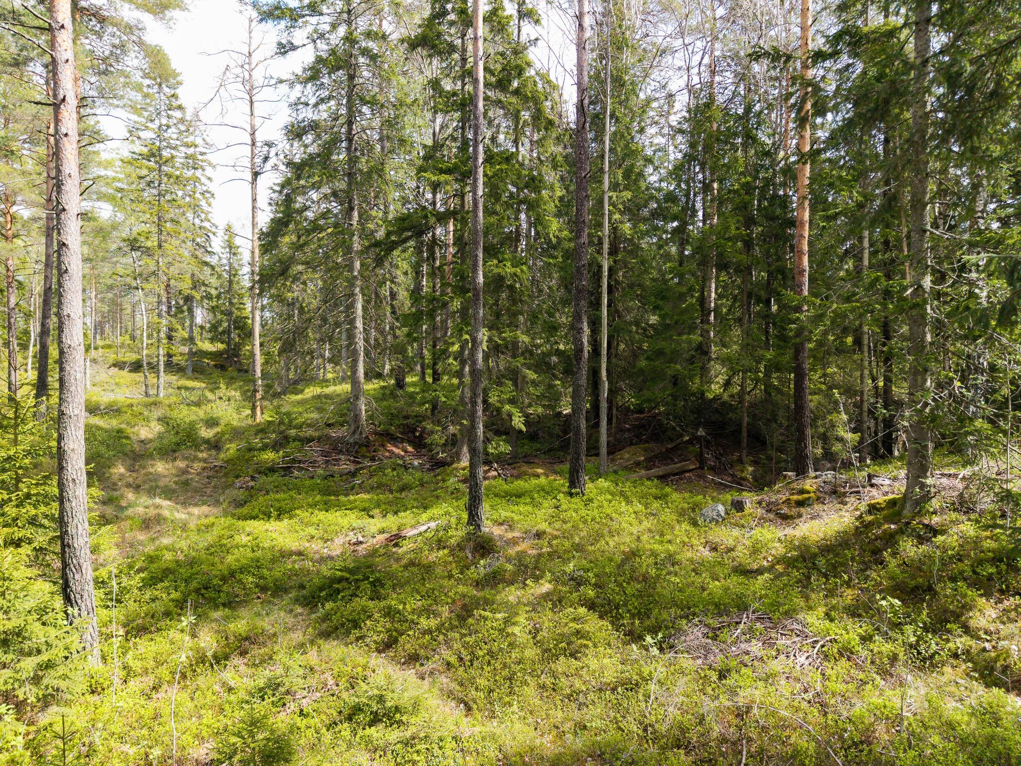 Gård med skogsbruk på Isåsen Askersunds kommun - bild 42