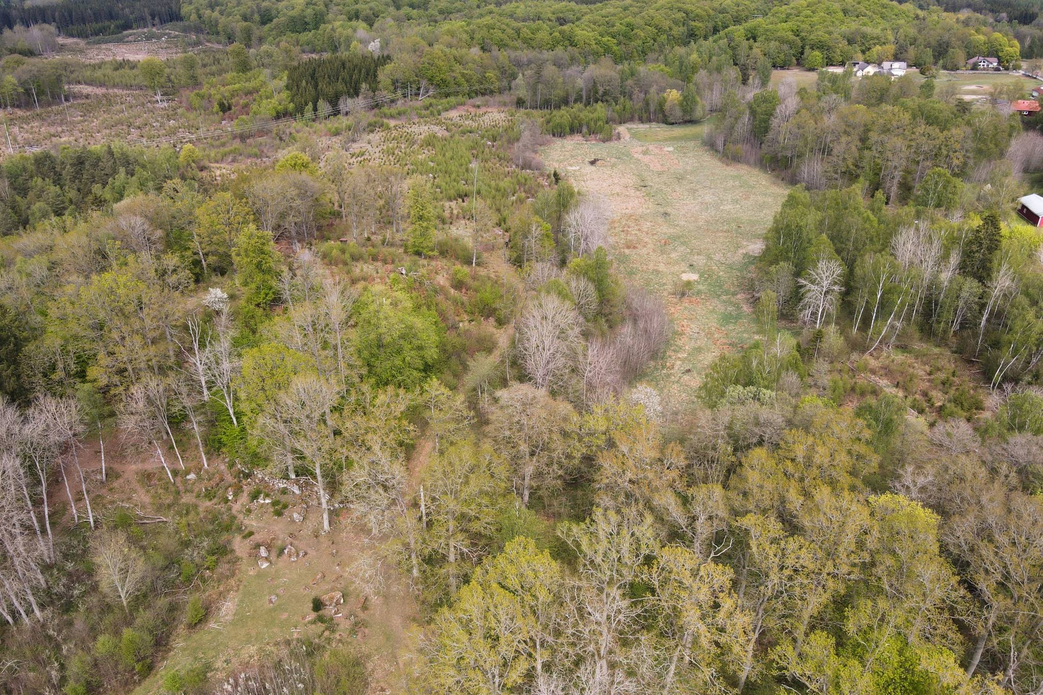 280 m² Gård/skog på Röetvedsvägen 75 Arkelstorp Kristianstads kommun - bild 52