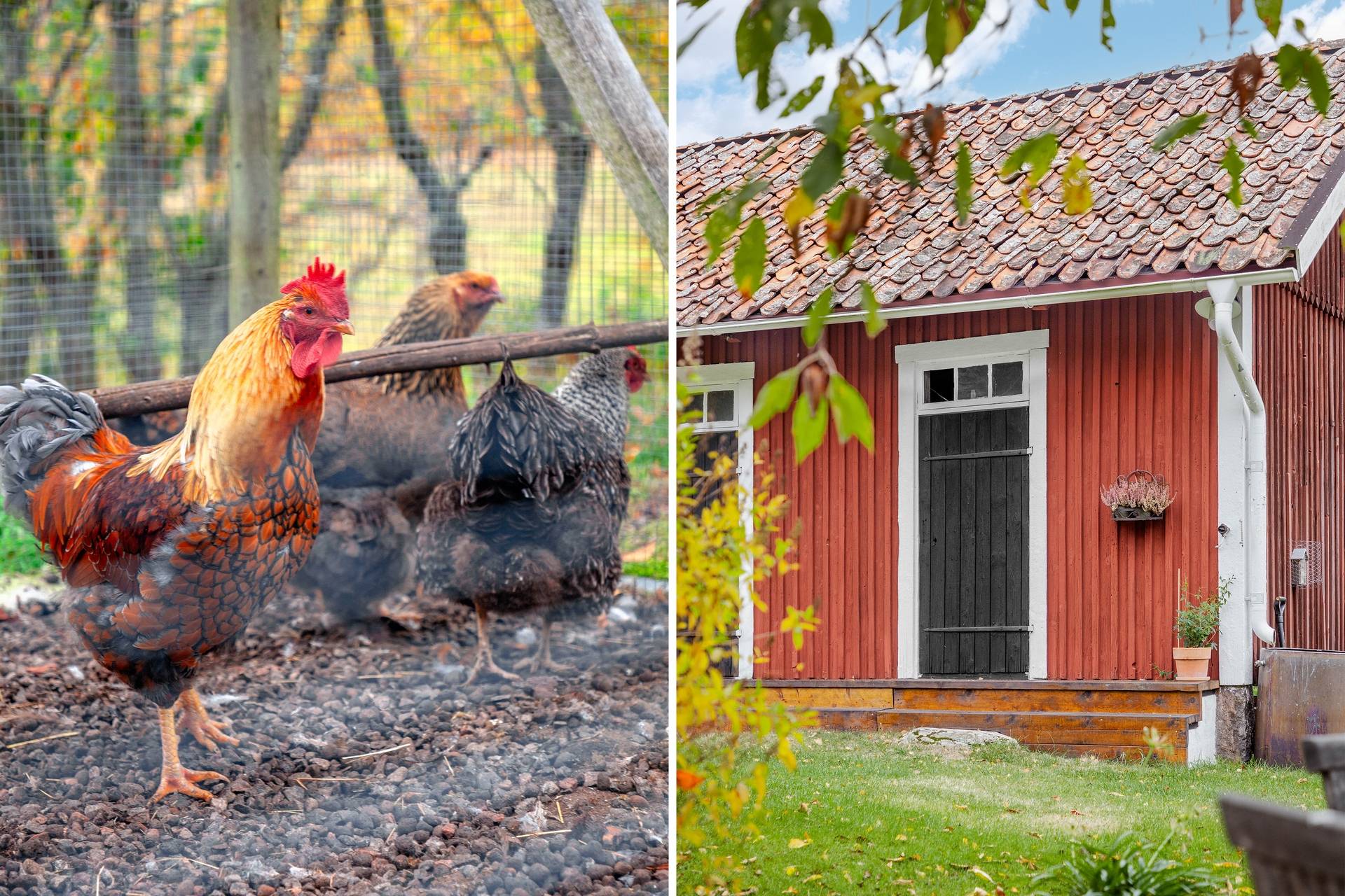 160 m² Villa på Nävekvarn Femman 1 Nävekvarn Nyköpings kommun - bild 6