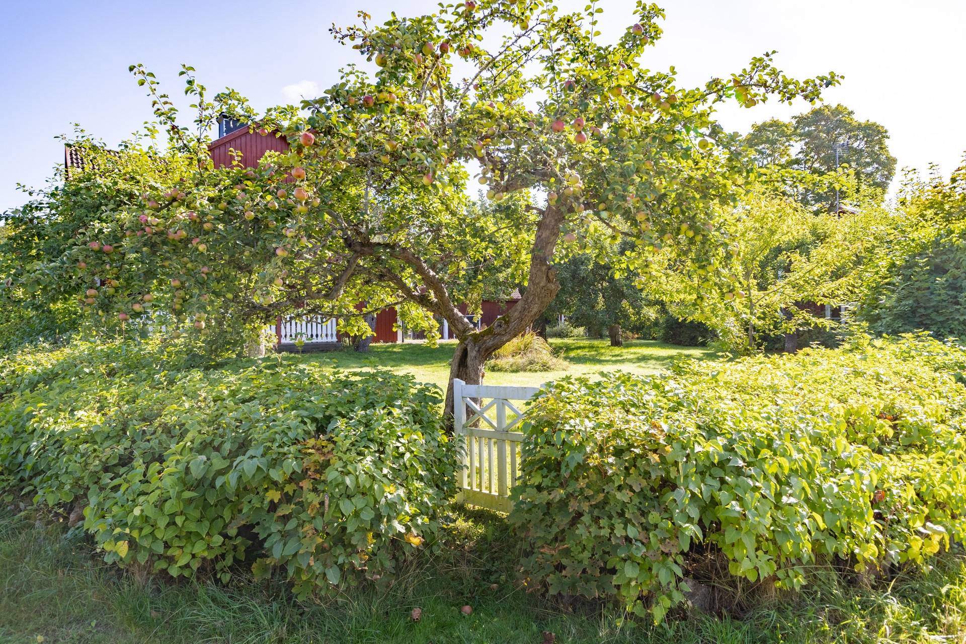 7 rum Villa på Norra Lunger 206 Lunger Arboga kommun - bild 7