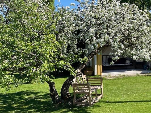 12 rum Gård/skog på Källsby gård 6 Dala-Husby Hedemora kommun - bild 100