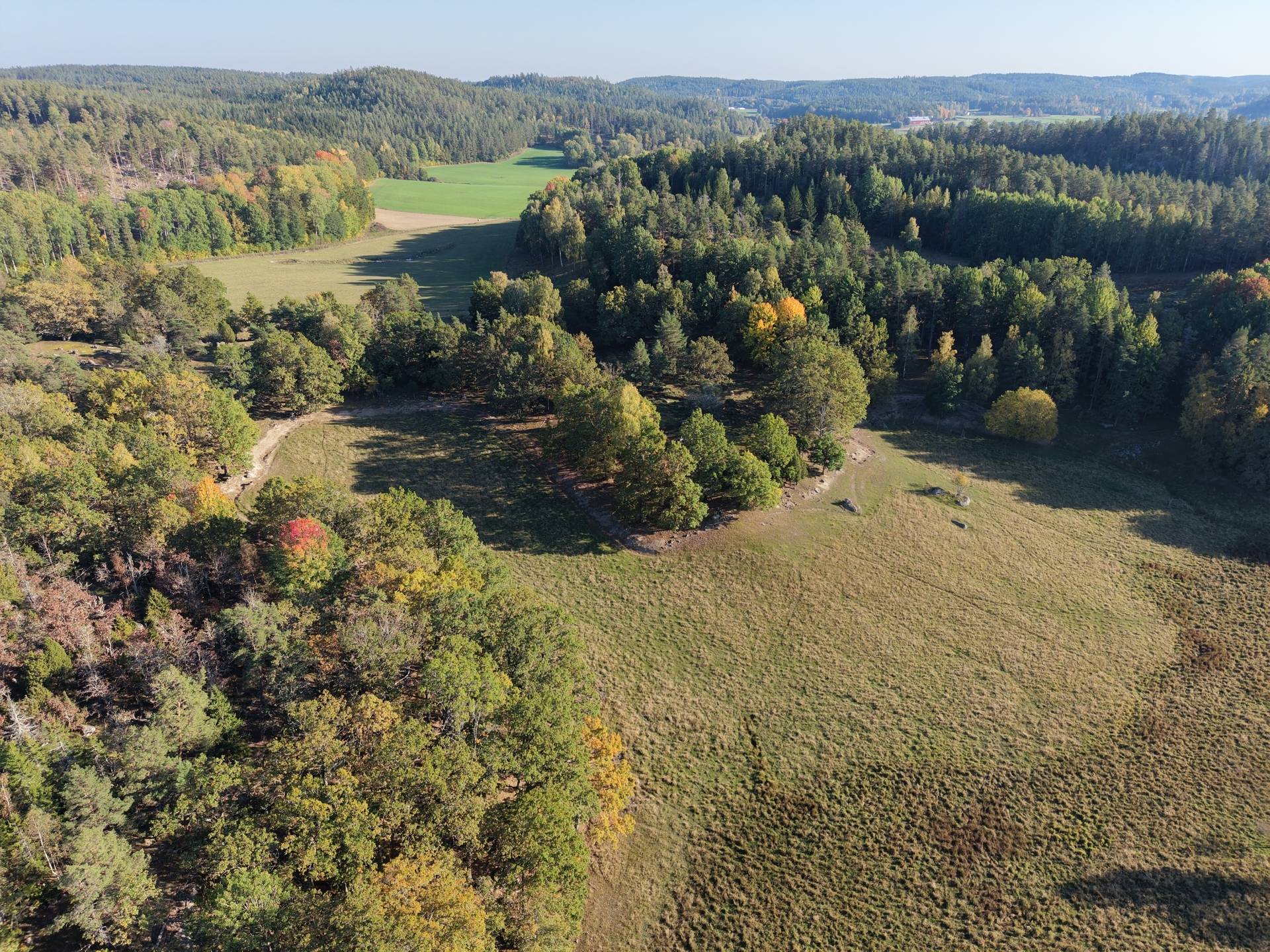 Gård med jordbruk på Vallingedal Nedergård Vallingedal Kinda kommun - bild 28