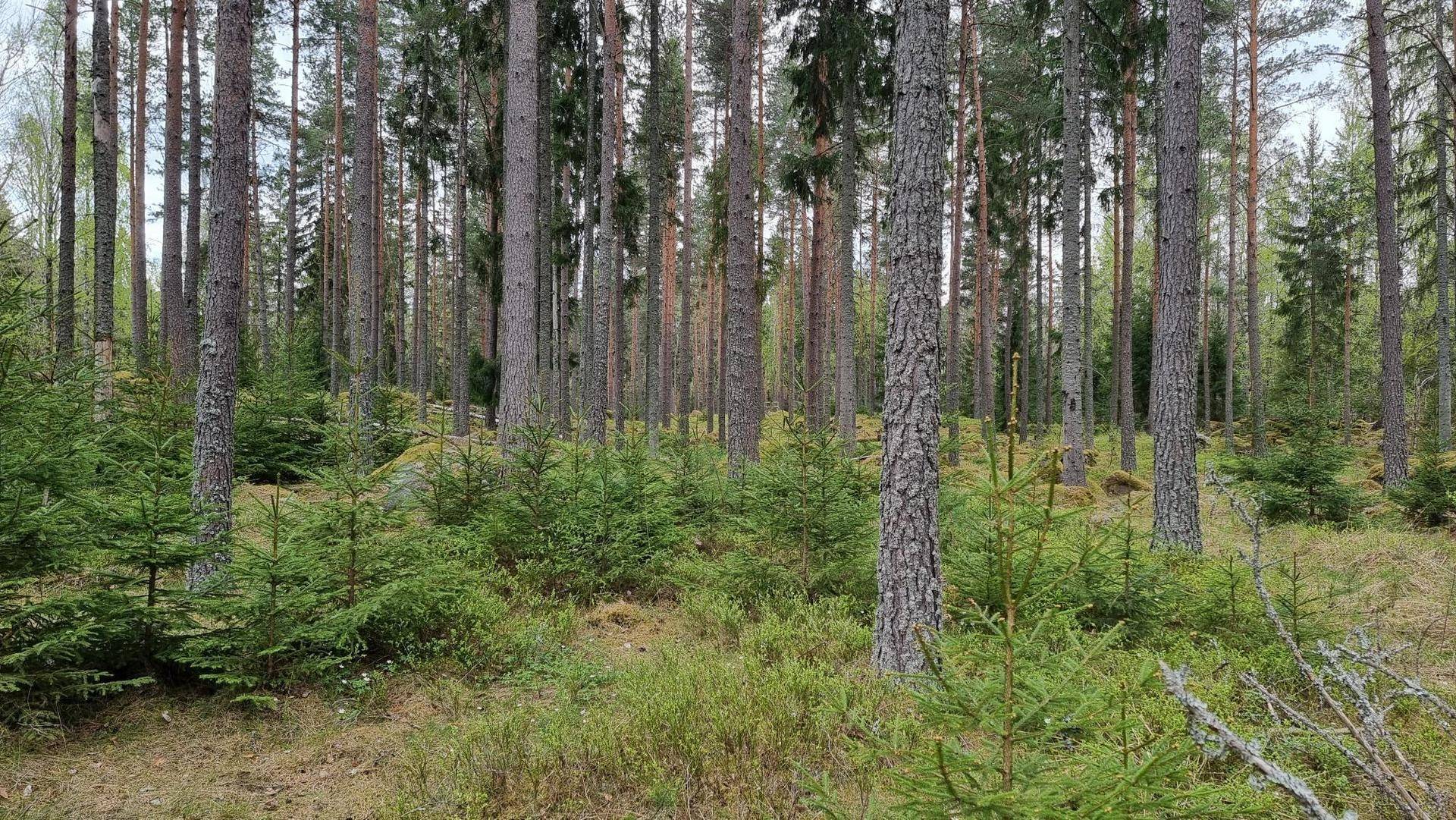 154 m² Gård med jordbruk på Onslunda 43 Tensta Uppsala kommun - bild 52