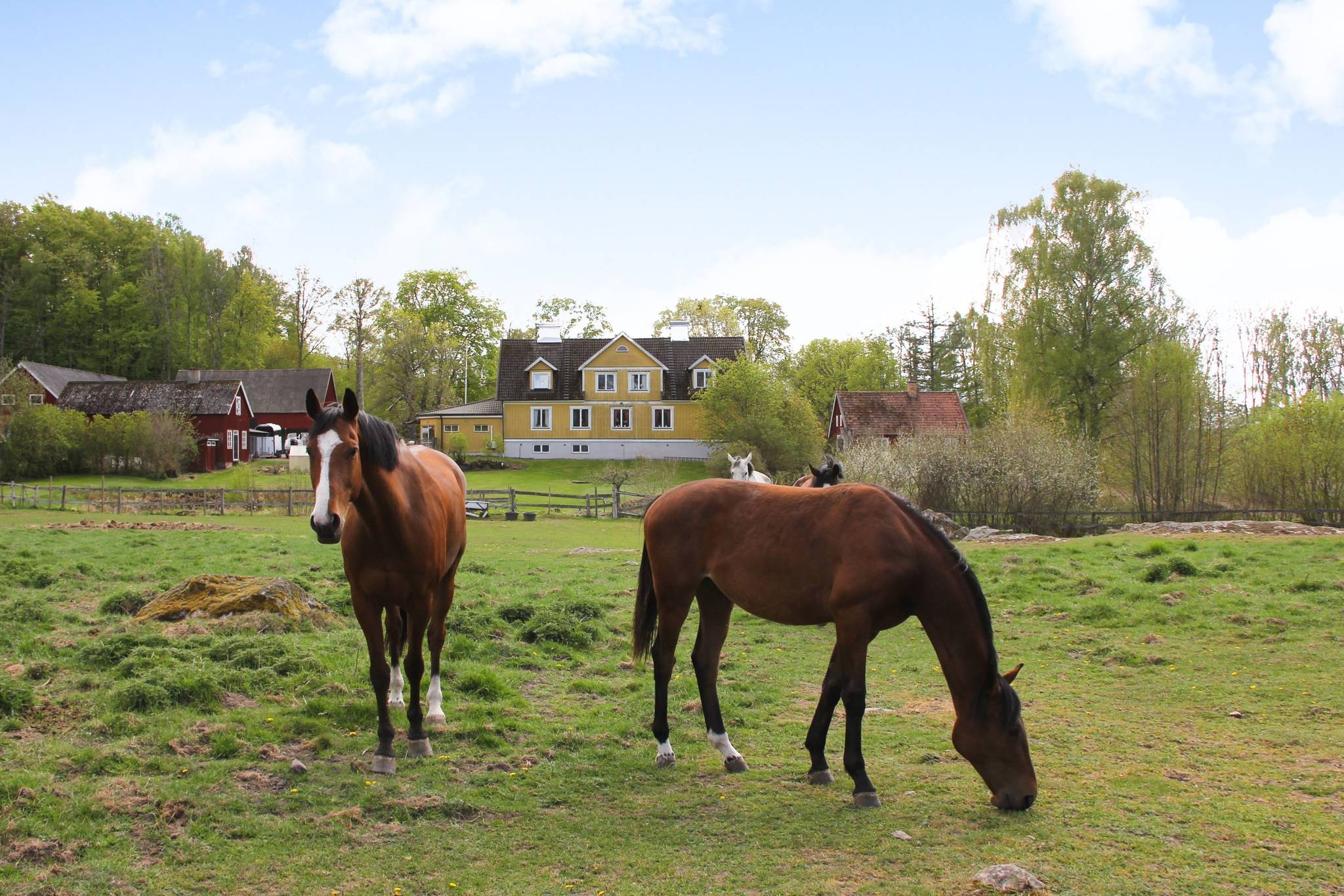 280 m² Gård/skog på Röetvedsvägen 75 Arkelstorp Kristianstads kommun - bild 57