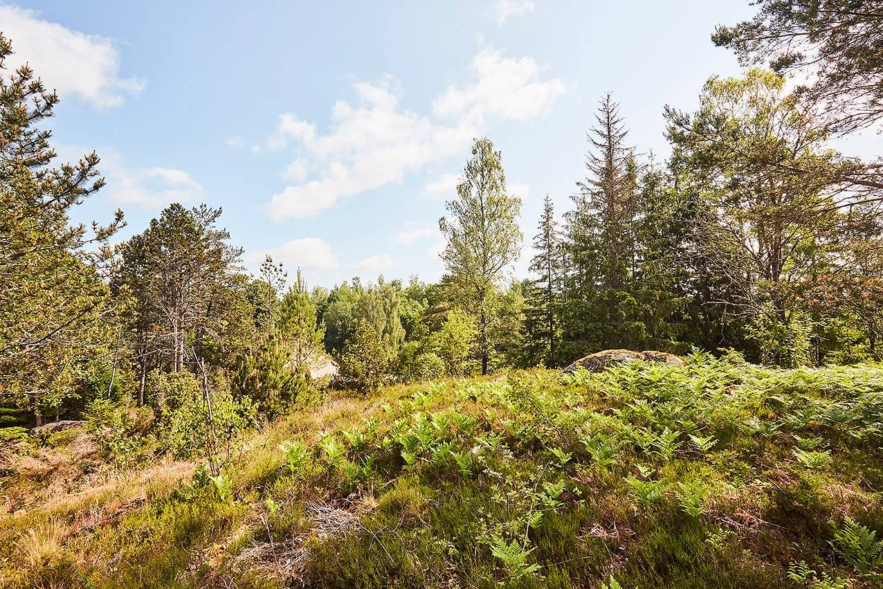 32 rum Gård/skog på Marieholms herrgård Marieholmsbruk Gnosjö kommun - bild 80