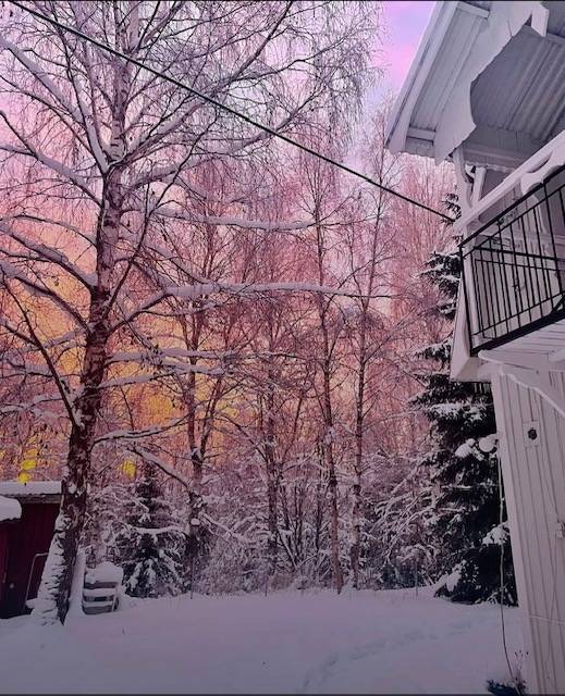 82 m² Villa på Flugtjärnsvägen 103 Sollefteå kommun - bild 30