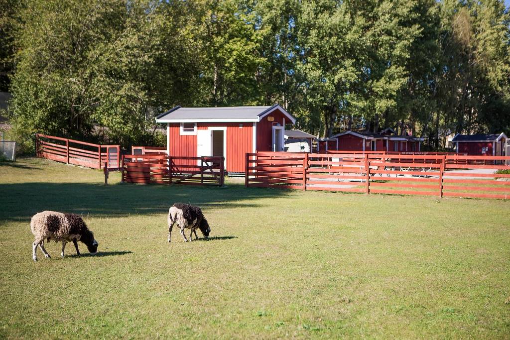3 rum Lägenhet på Salbyvägen 1 Bandhagen Stockholms kommun - bild 50