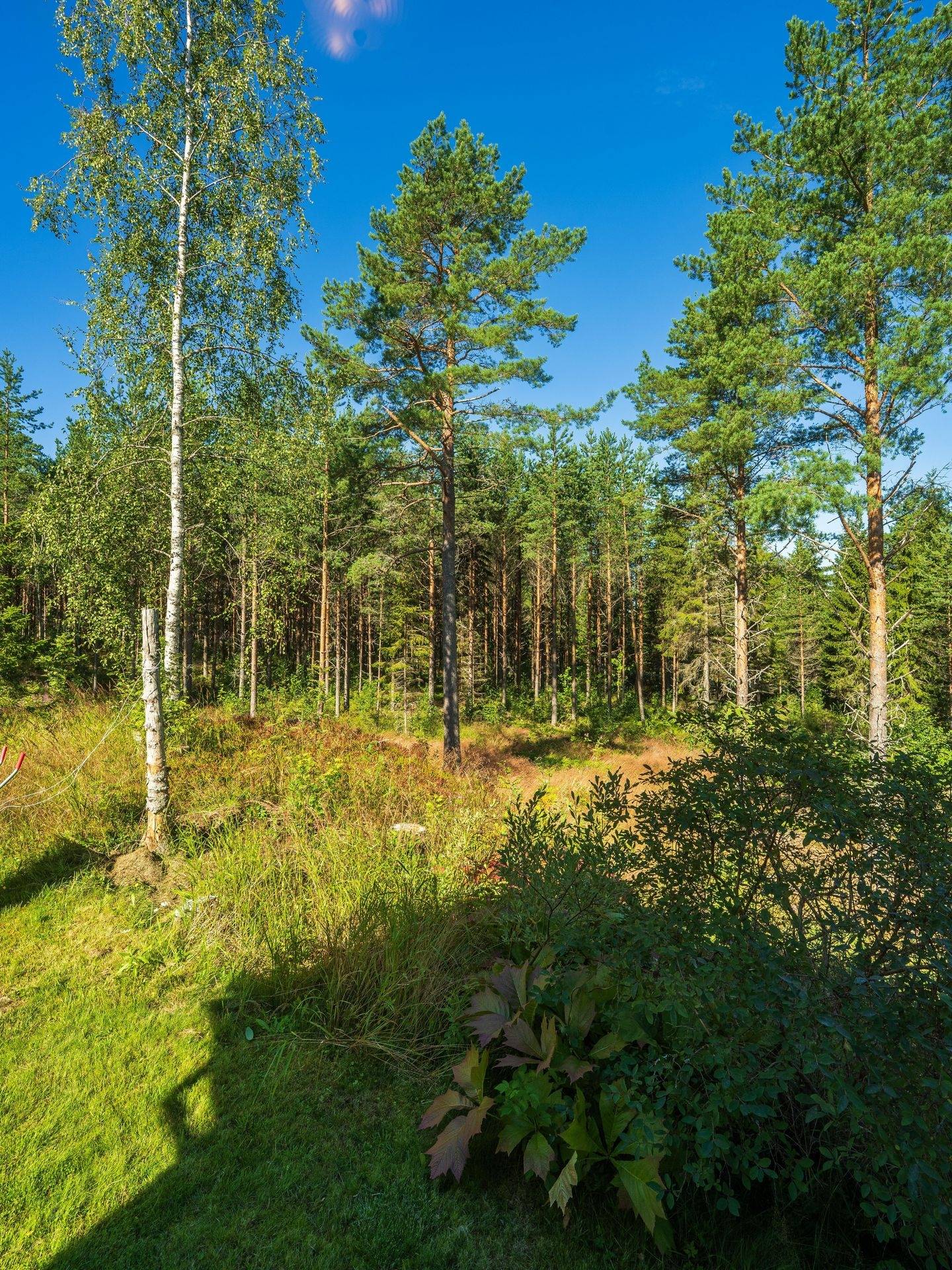 2 rum Villa på Långroudden 115 Arnäsvall Örnsköldsviks kommun - bild 70