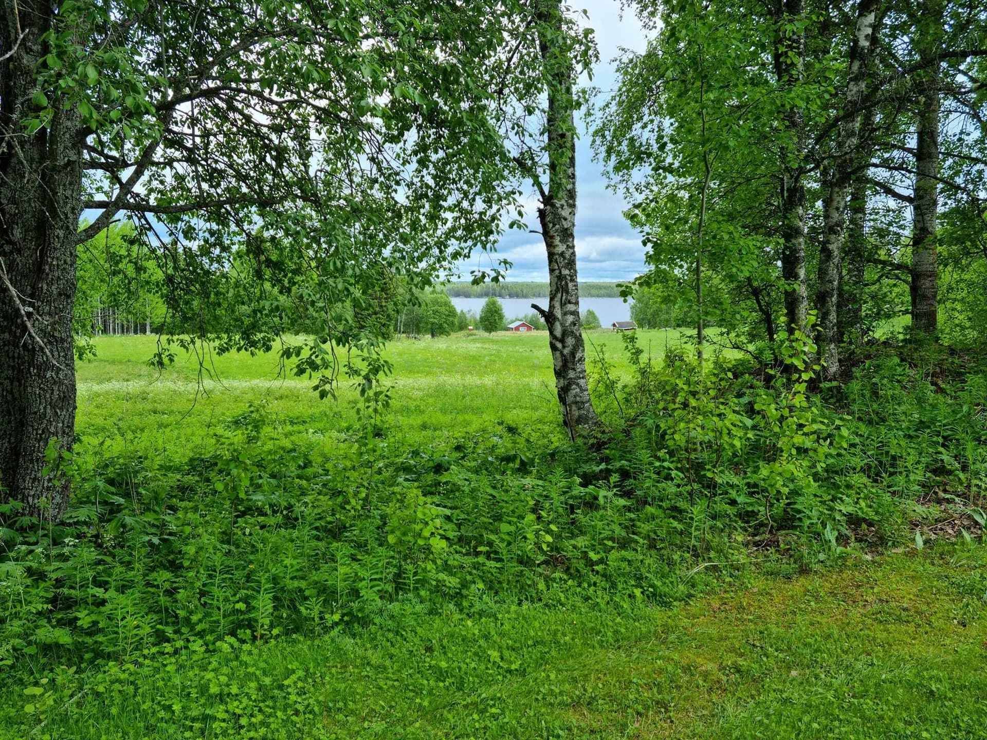 1 rum Villa på Viken 445 Hammerdal Strömsunds kommun - bild 12