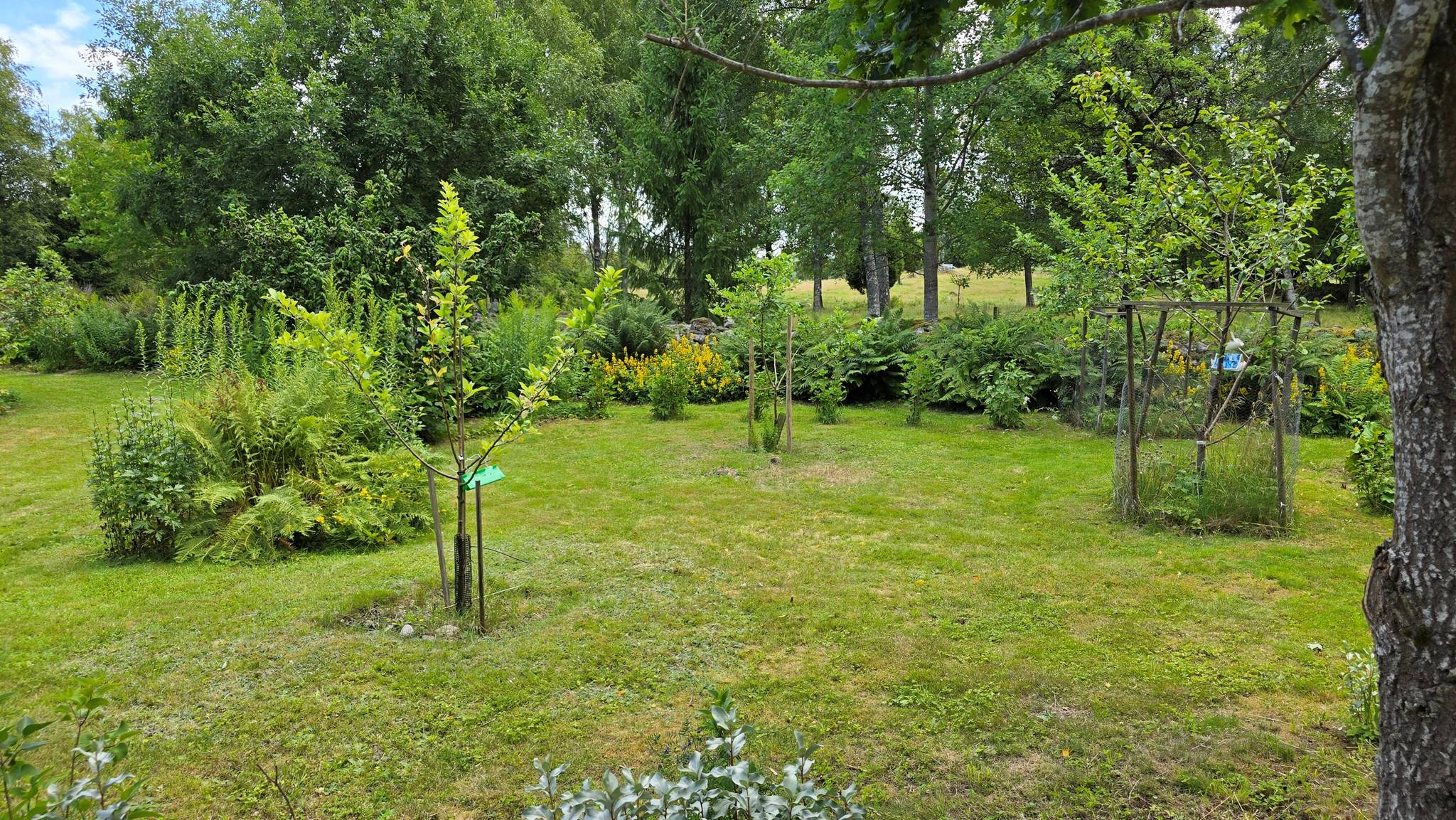 4 rum Fritidshus på Väderlanda LILLEGÅRD 1 Växjö kommun - bild 96