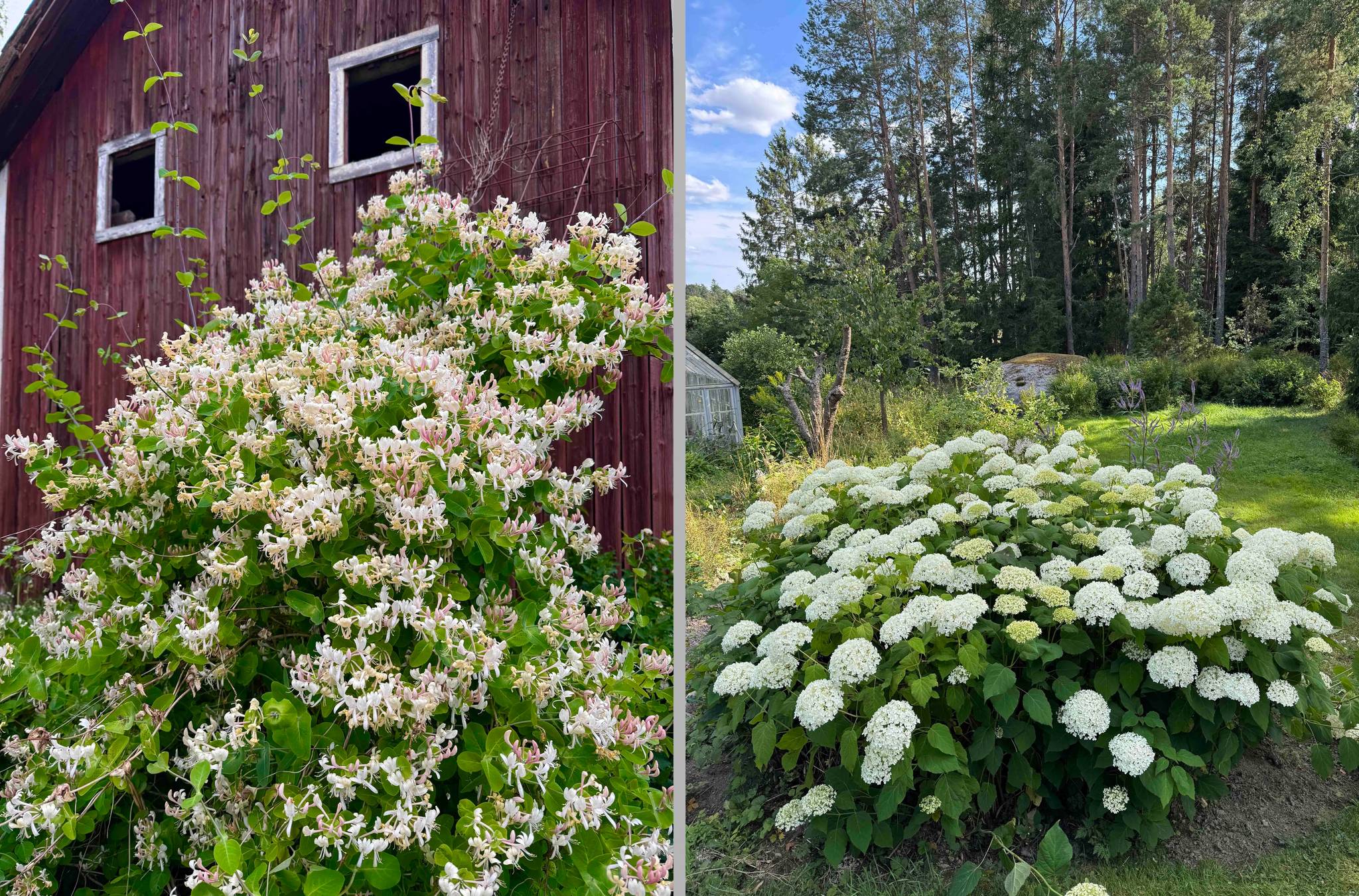 5 rum Gård utan jordbruk på Nysätra Hammarby 21 Enköpings kommun - bild 102