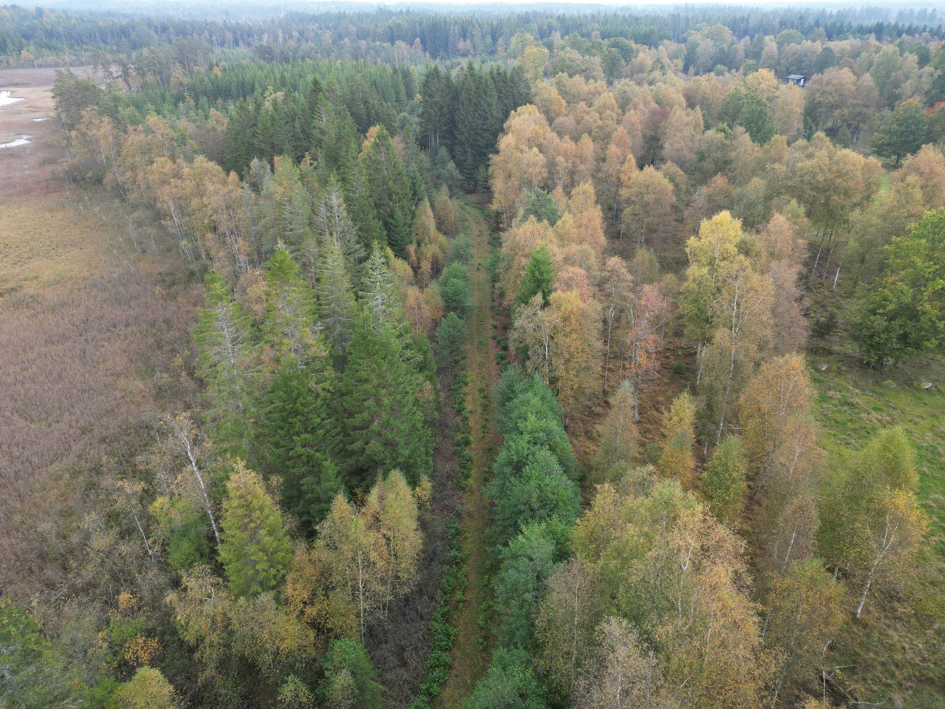 Gård med jordbruk på Yttrebo 107 Hylte kommun - bild 12