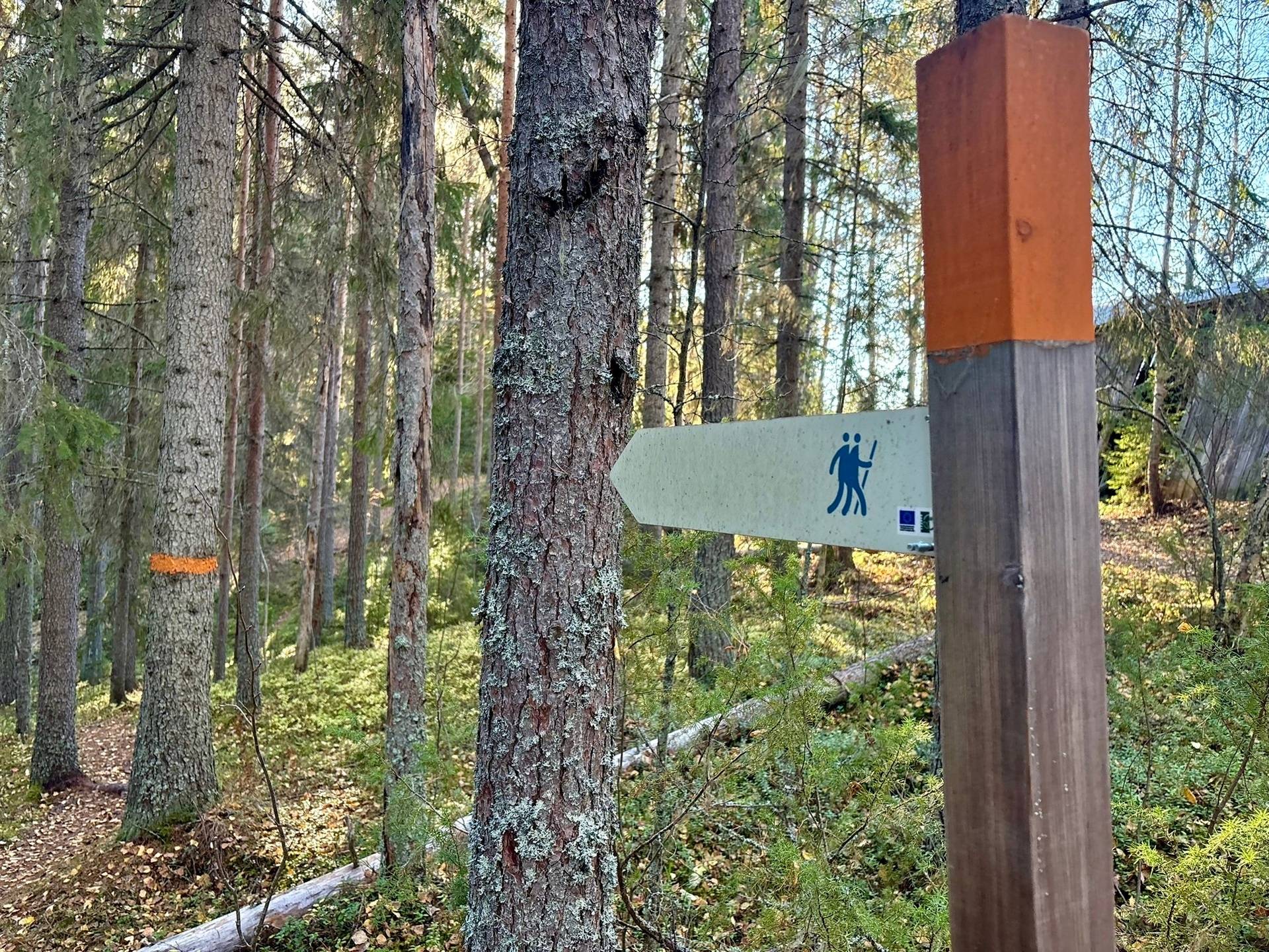 Gård/skog på Granön 4:6 Vindelns kommun - bild 11