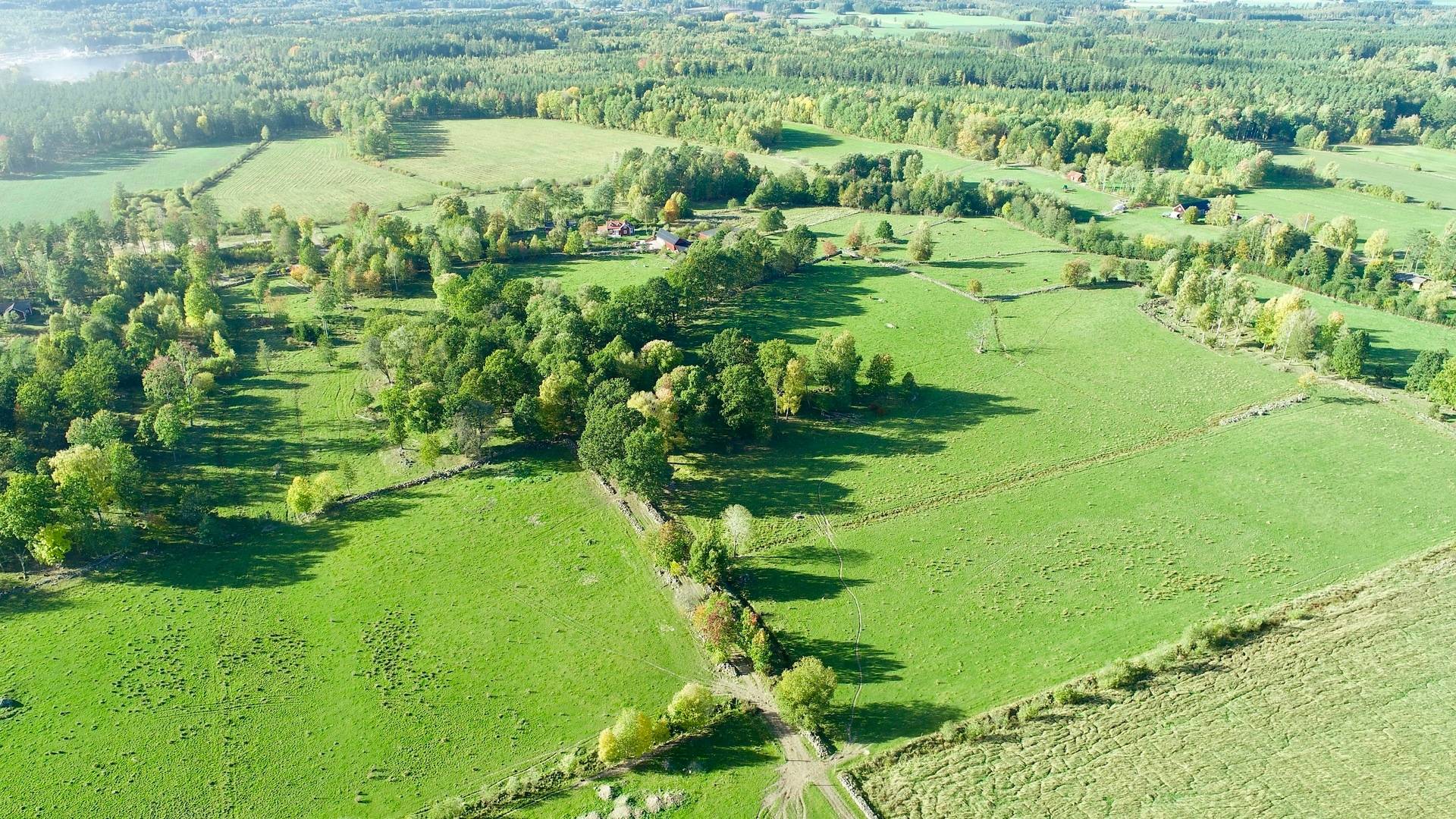 Gård med skogsbruk Binneberg Skövde kommun - bild 13