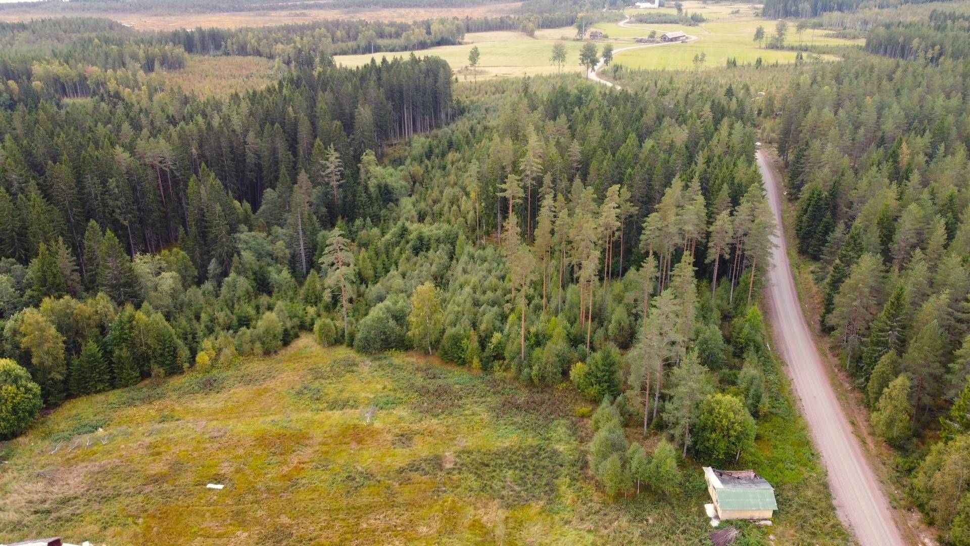 Gård med jordbruk på Snårbotten Gärdet Laggartorp Storfors kommun - bild 15