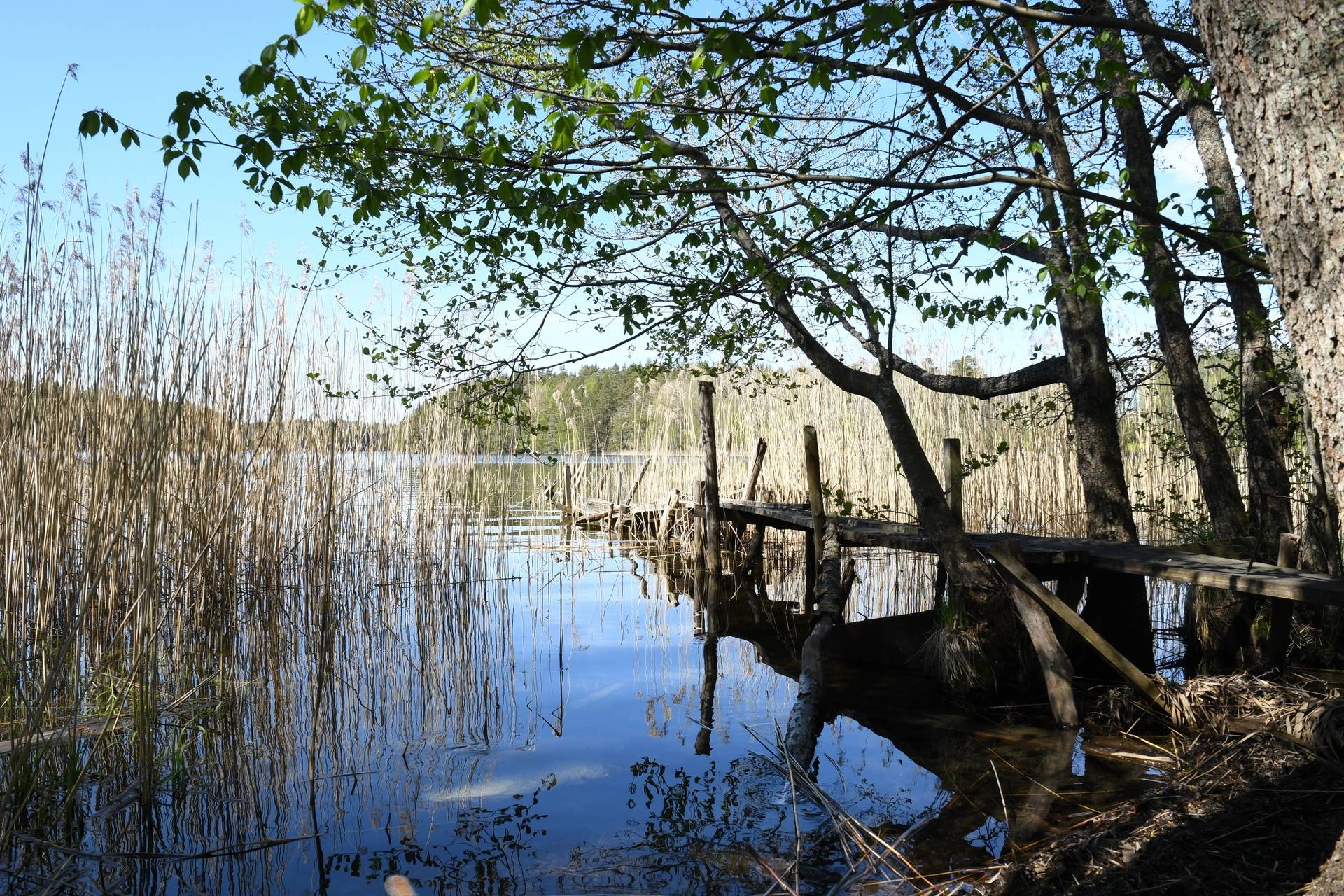 Gård med jordbruk på Sörby Nergården Flens kommun - bild 27