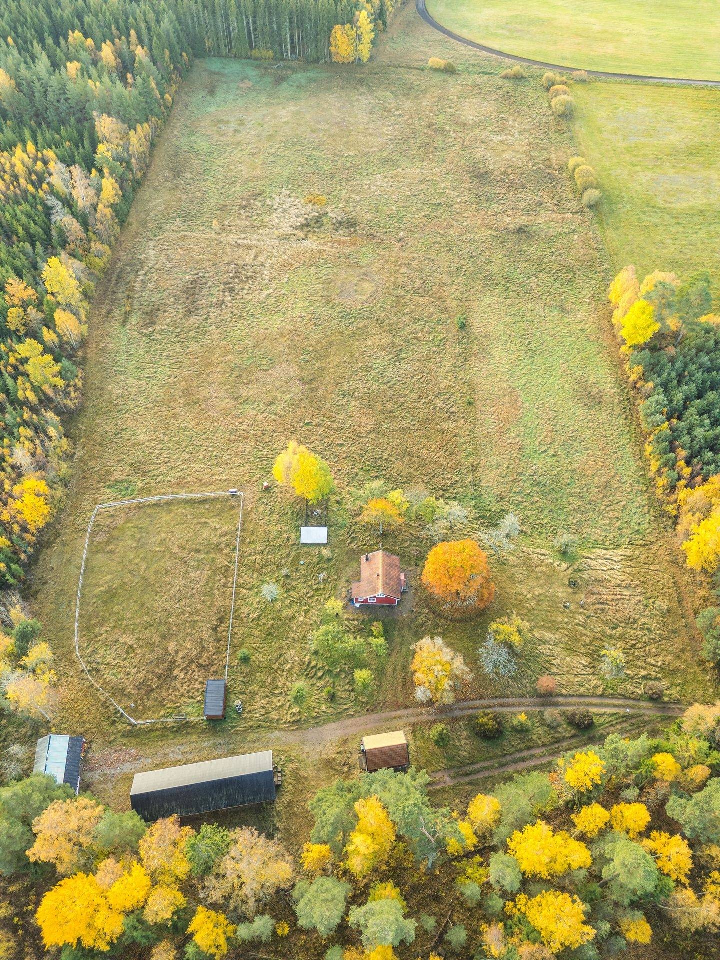 Gård/skog på Synnerby Myren 3 Skara kommun - bild 44