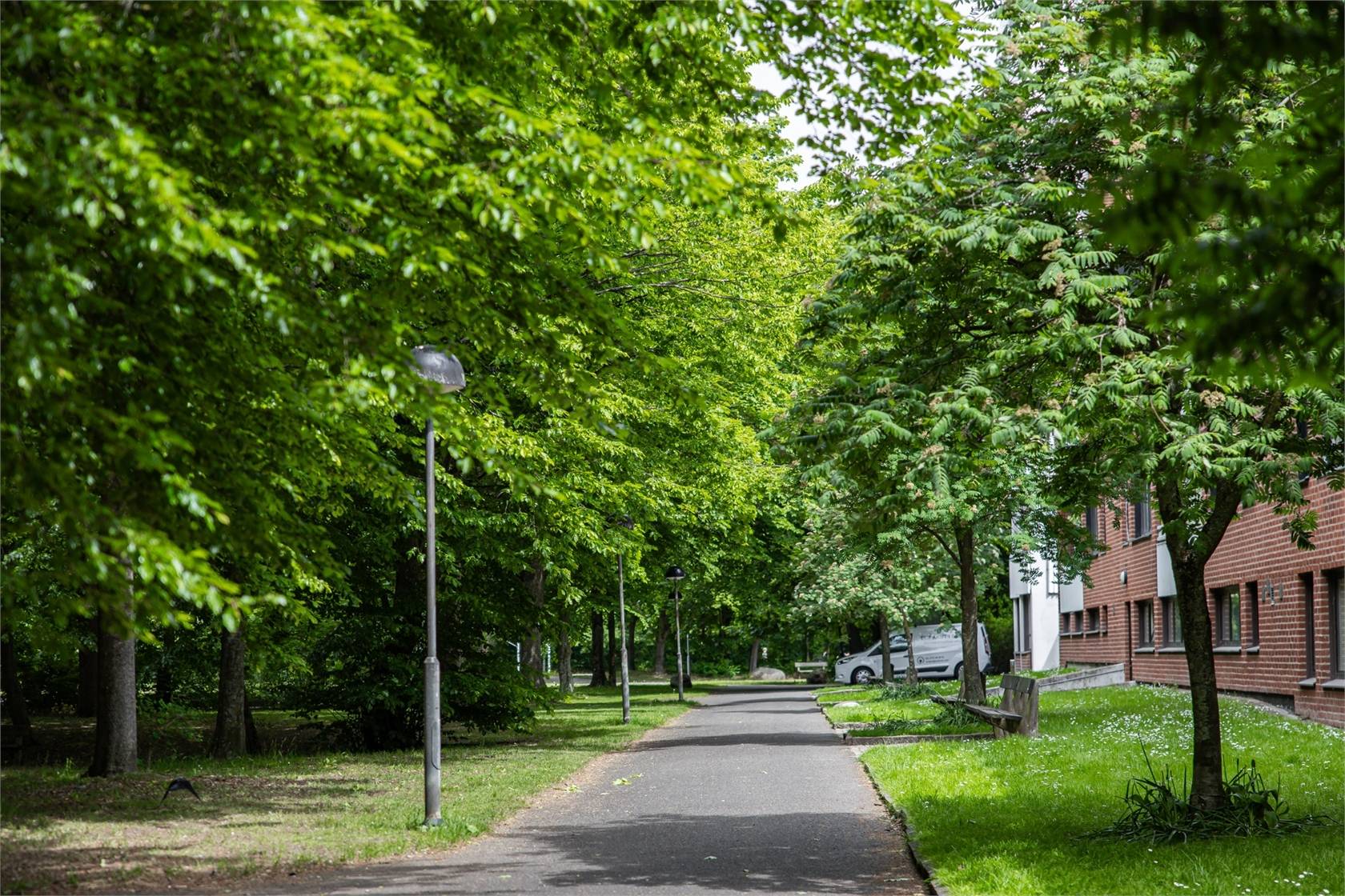 4 rum Lägenhet på Virvelvindsvägen 4A Klostergården Lunds kommun - bild 28