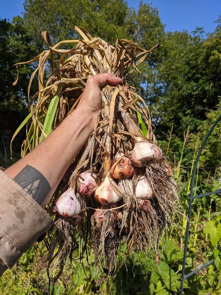 1 rum Fritidshus på Smörblommegången 327 Askim- Välenkolonin nedre området Göteborgs kommun - bild 12