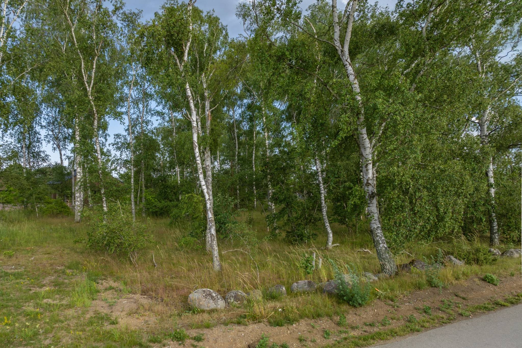 Tomt på Kleva Norra Strandväg 4 Kleva Mörbylånga kommun - bild 7