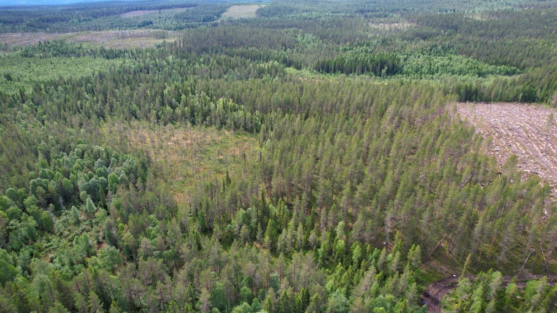 Gård/skog på SOLLEFTEÅ HÅLLA 1:14 Sollefteå kommun - bild 4