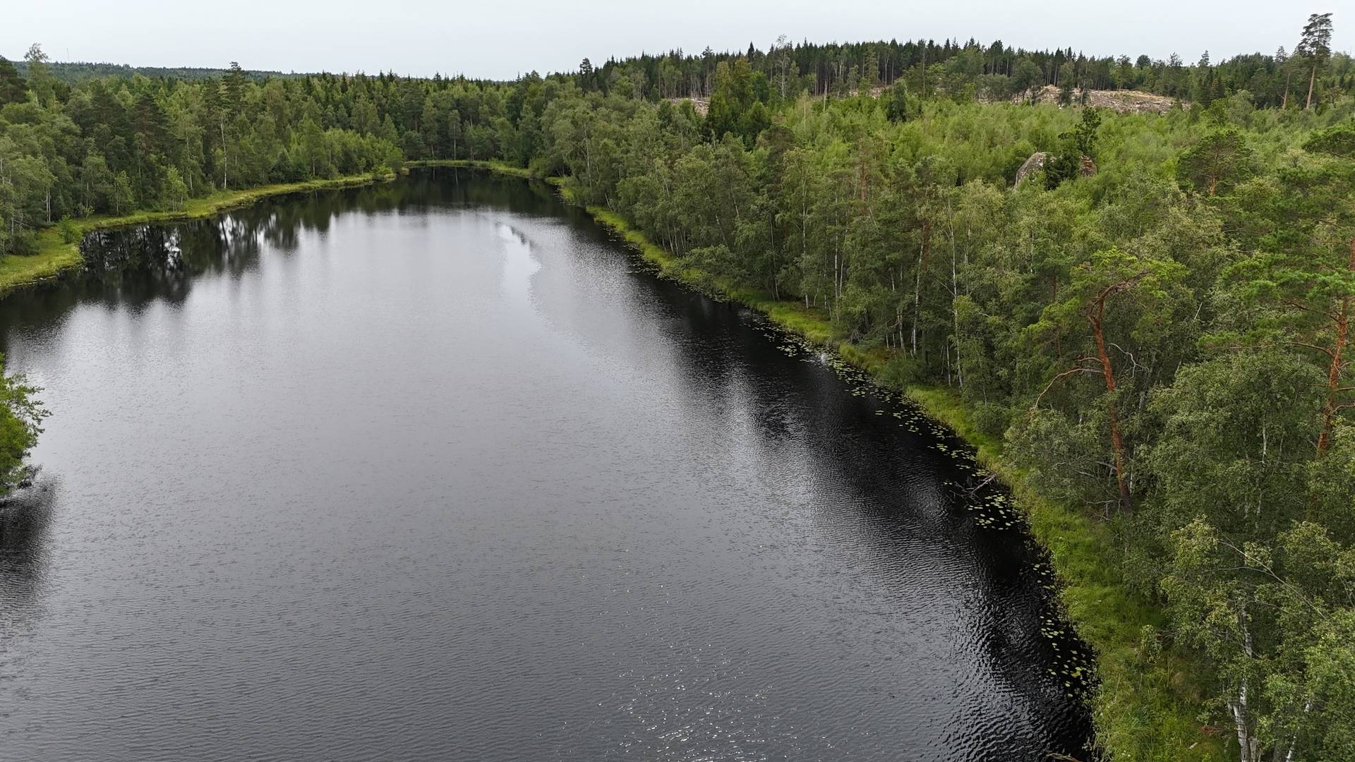 Gård/skog på Boasjö Boasjö Karlskrona kommun - bild 7