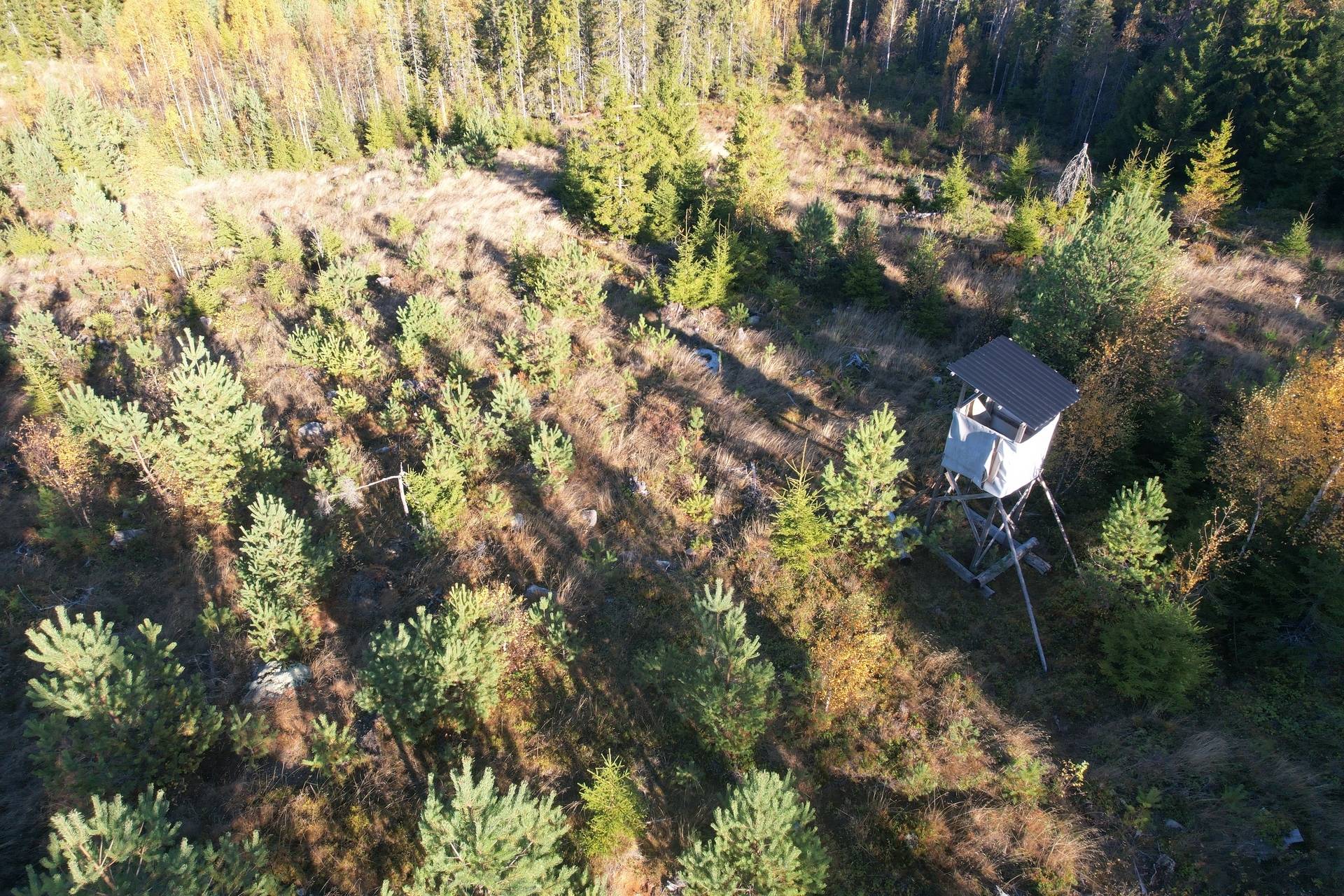 Gård med skogsbruk på Österfors Gagnefs kommun - bild 17