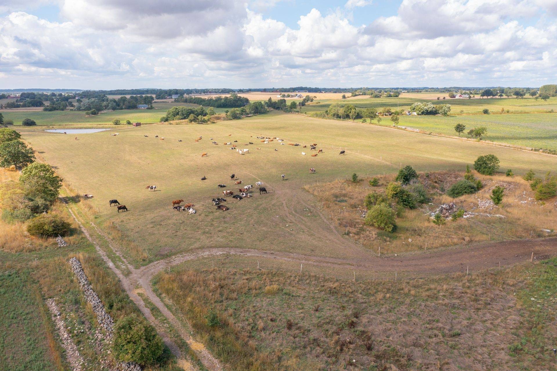 Gård med jordbruk på Östra Klasarödsvägen 262-16 Sjöbo kommun - bild 8