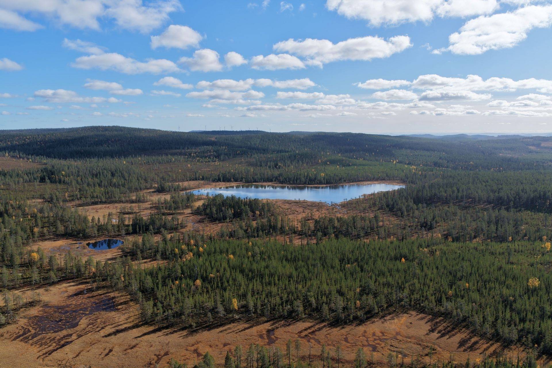 Gård/skog på Limbäck 103:2 Mora kommun - bild 23