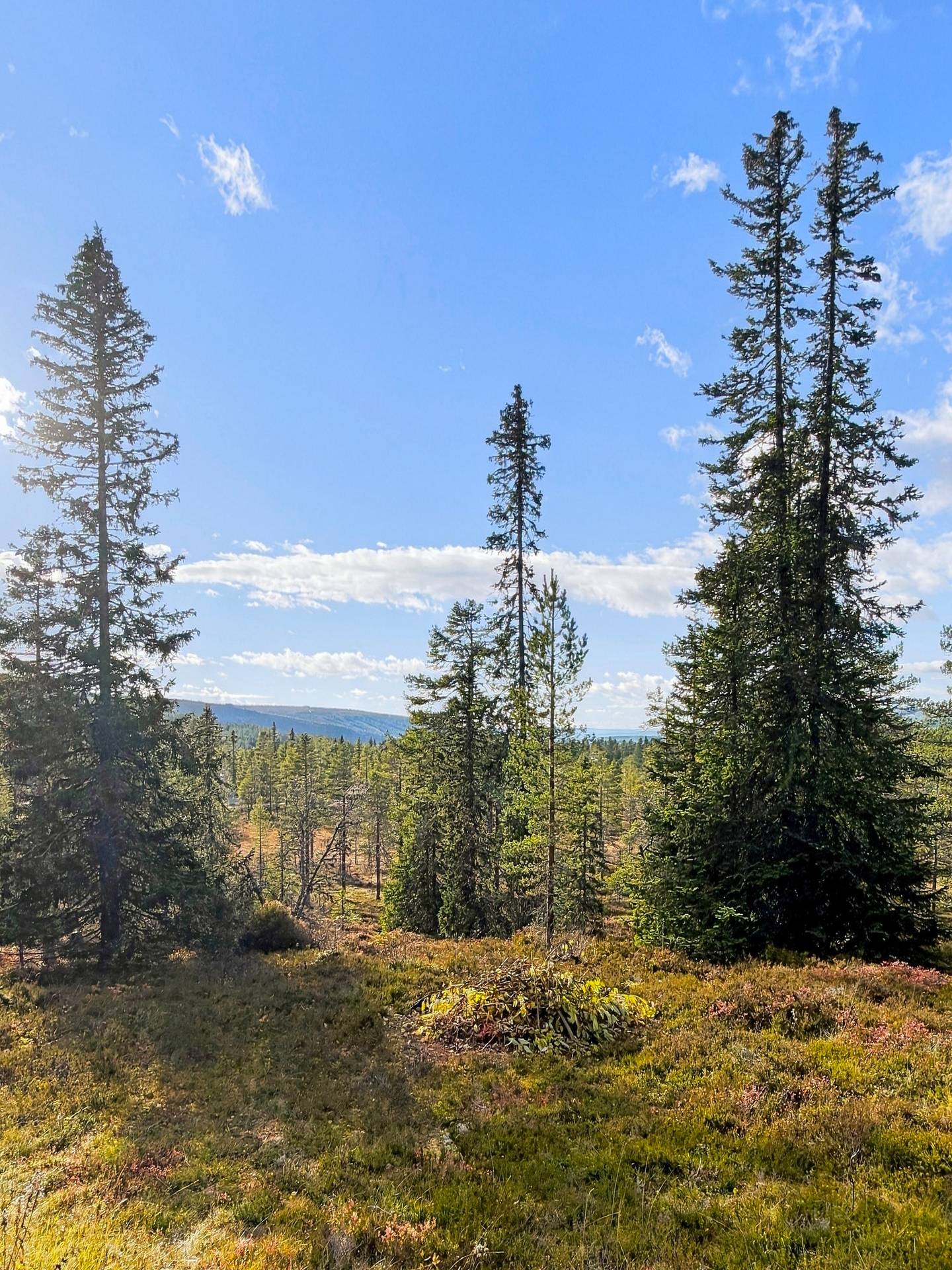 6 rum Villa på Fästigen 9 Gusjösätern Malung-Sälens kommun - bild 6
