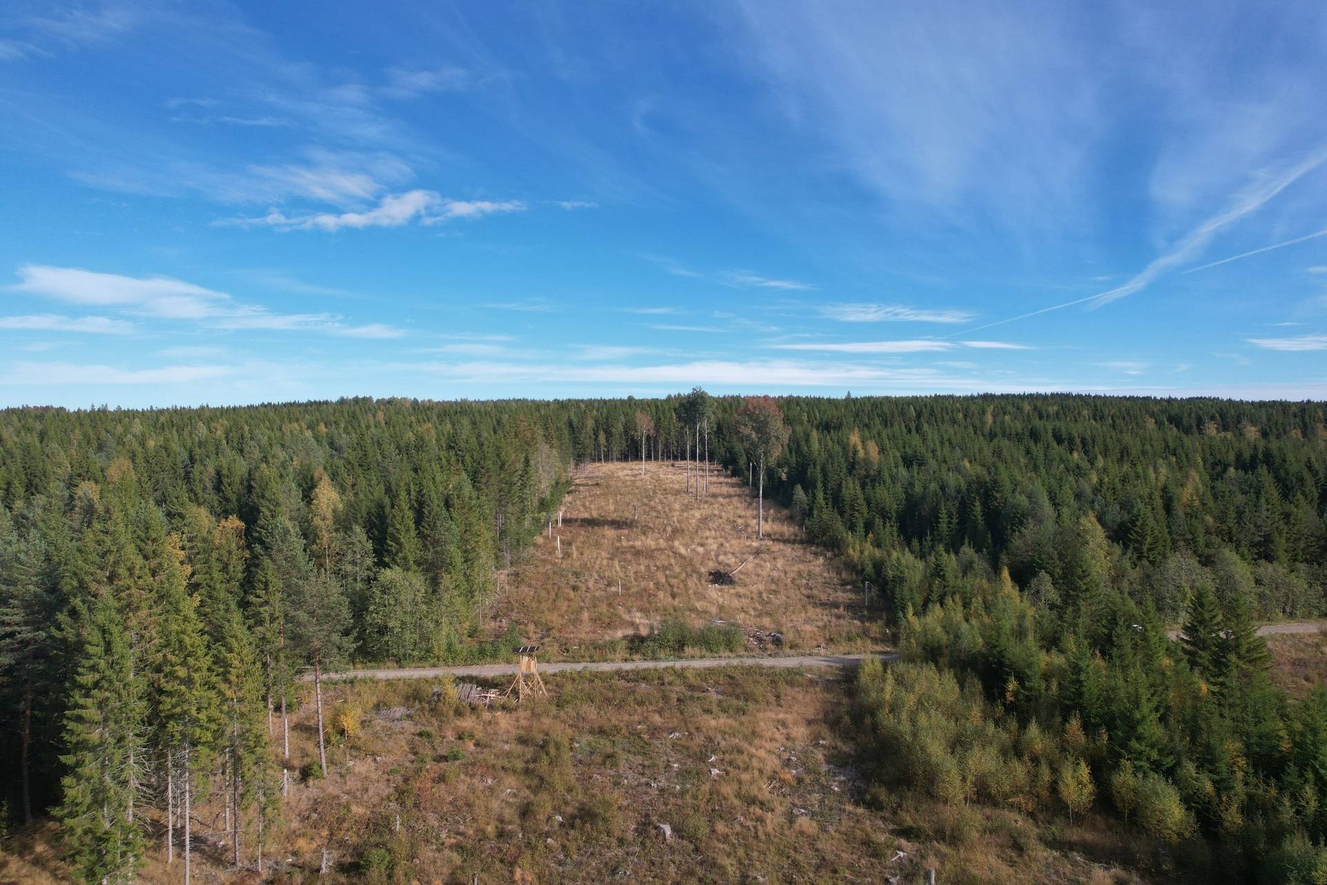 Gård med skogsbruk på Norbohyttan Säters kommun - bild 9